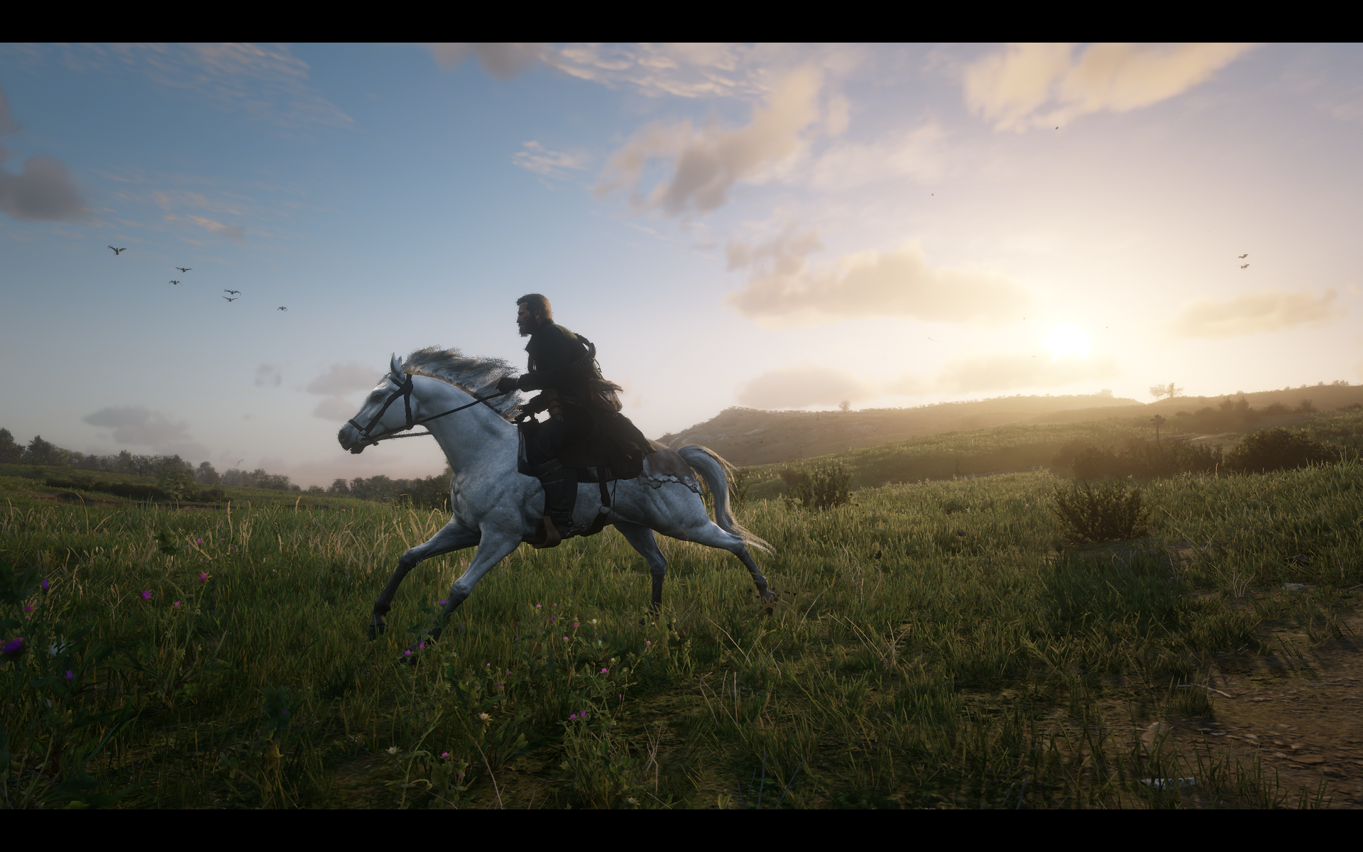RDR2_2019_10_18_06_21_29_008.png
