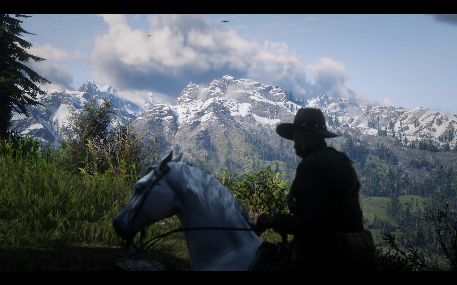 RDR2_2019_10_20_01_14_02_815.png