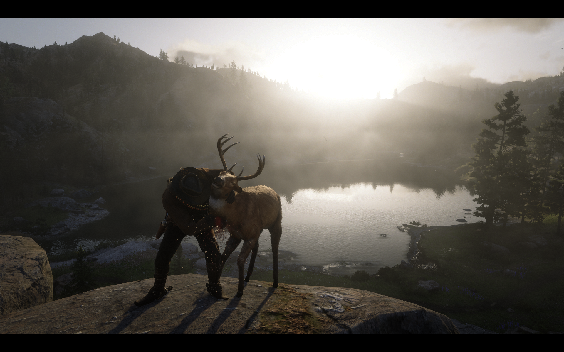 RDR2_2019_10_24_03_02_23_633.png