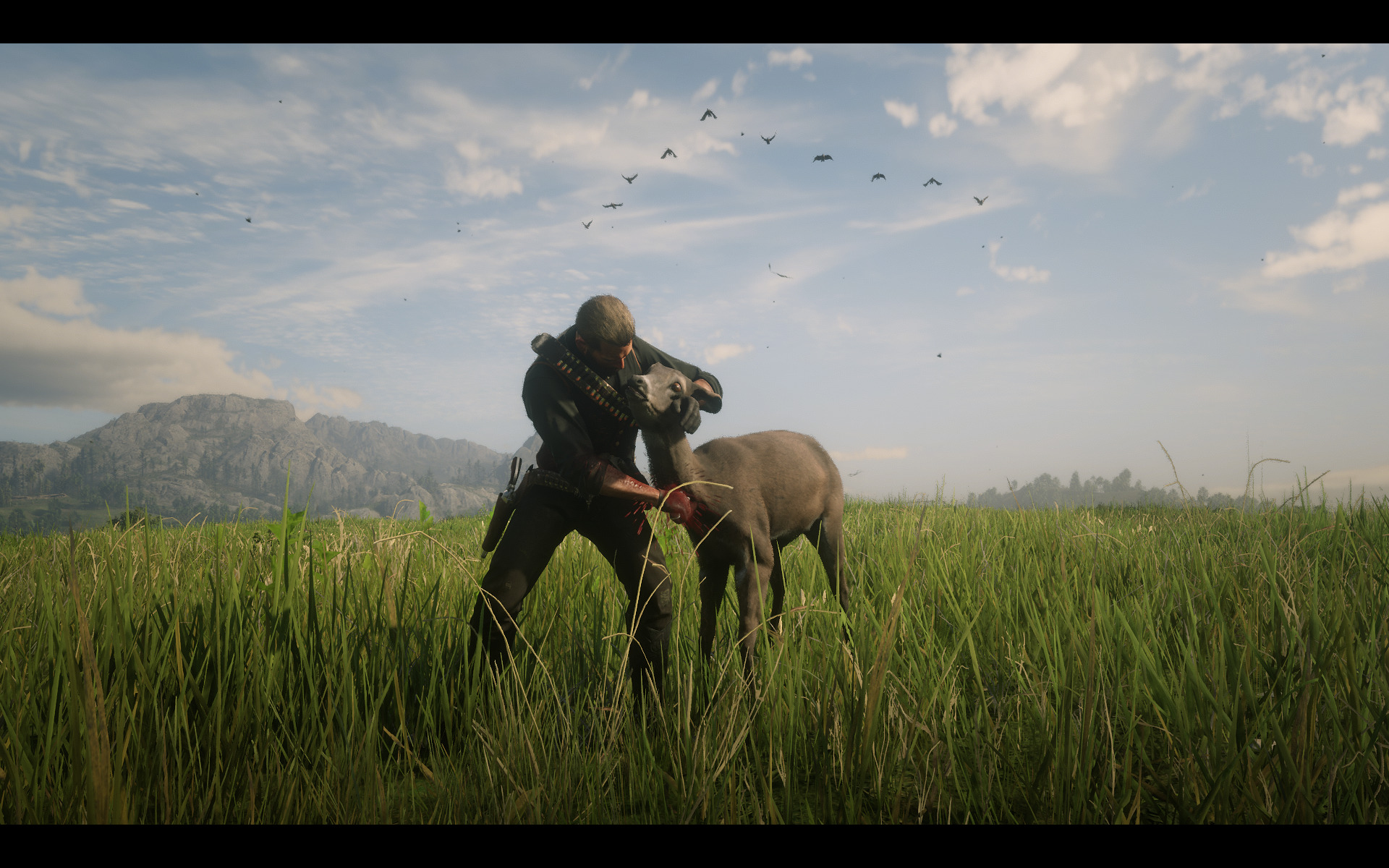 RDR2_2019_10_28_00_56_13_142.png