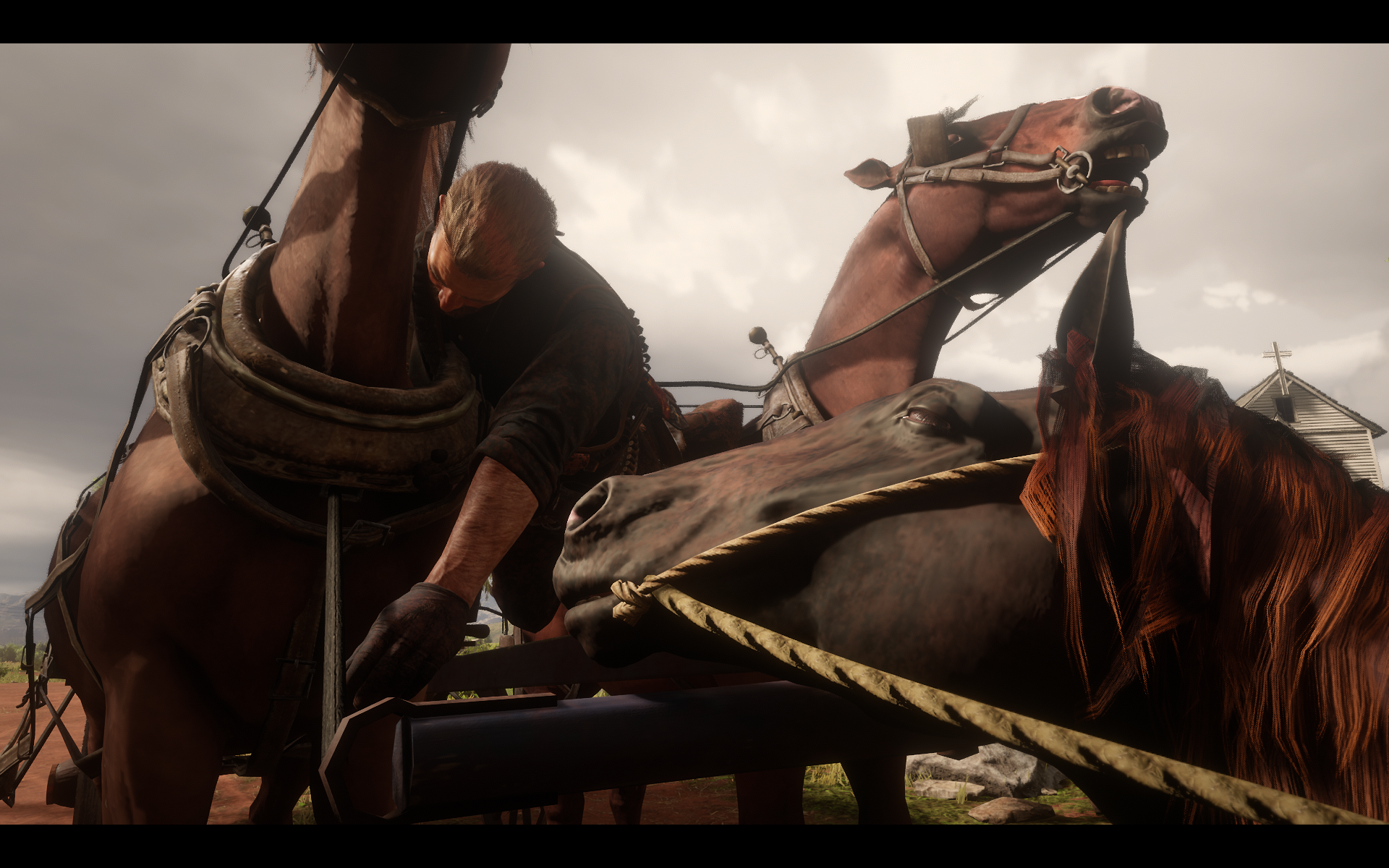 RDR2_2019_10_05_06_23_59_872.png