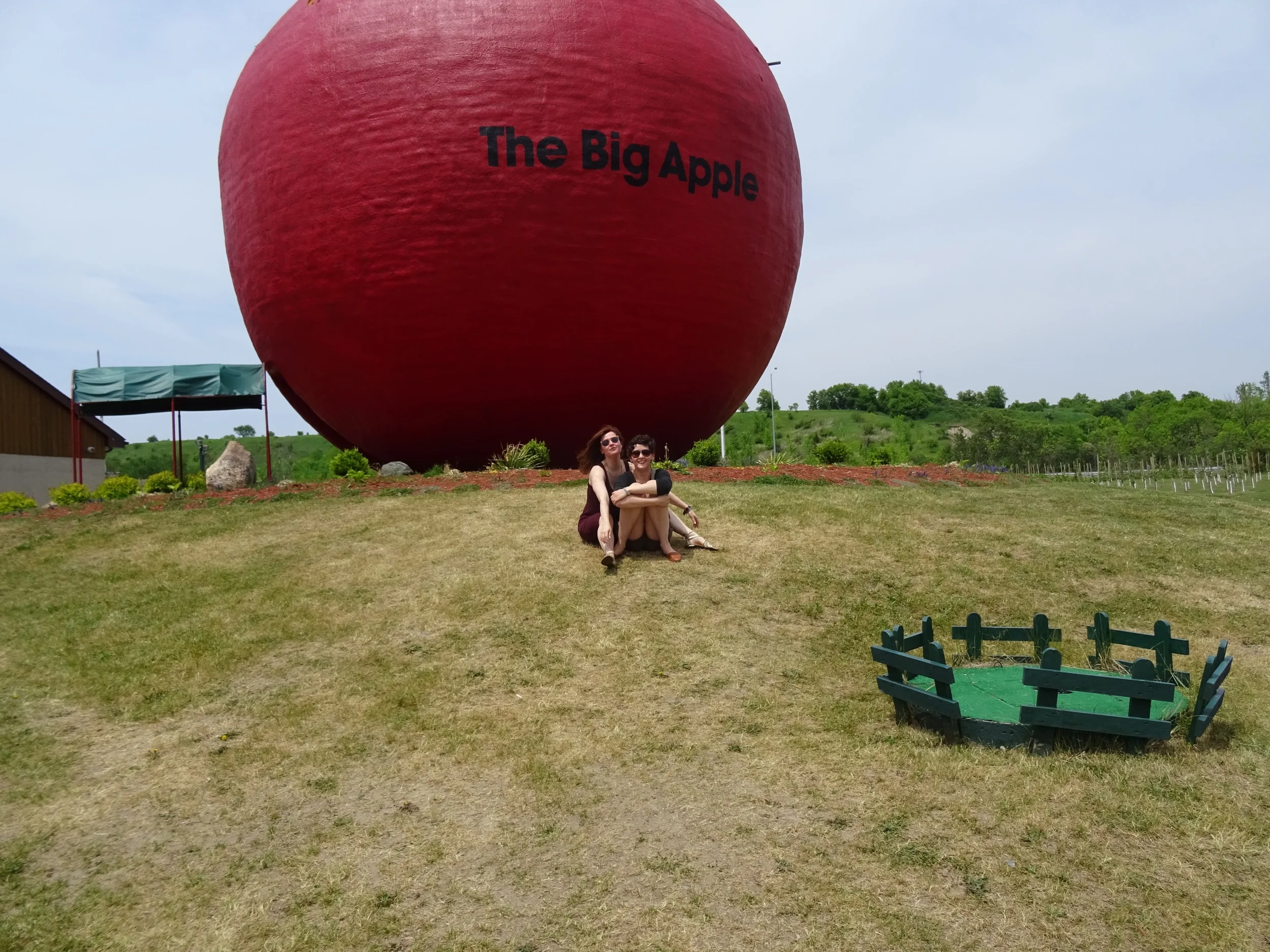Big Apple Buddies