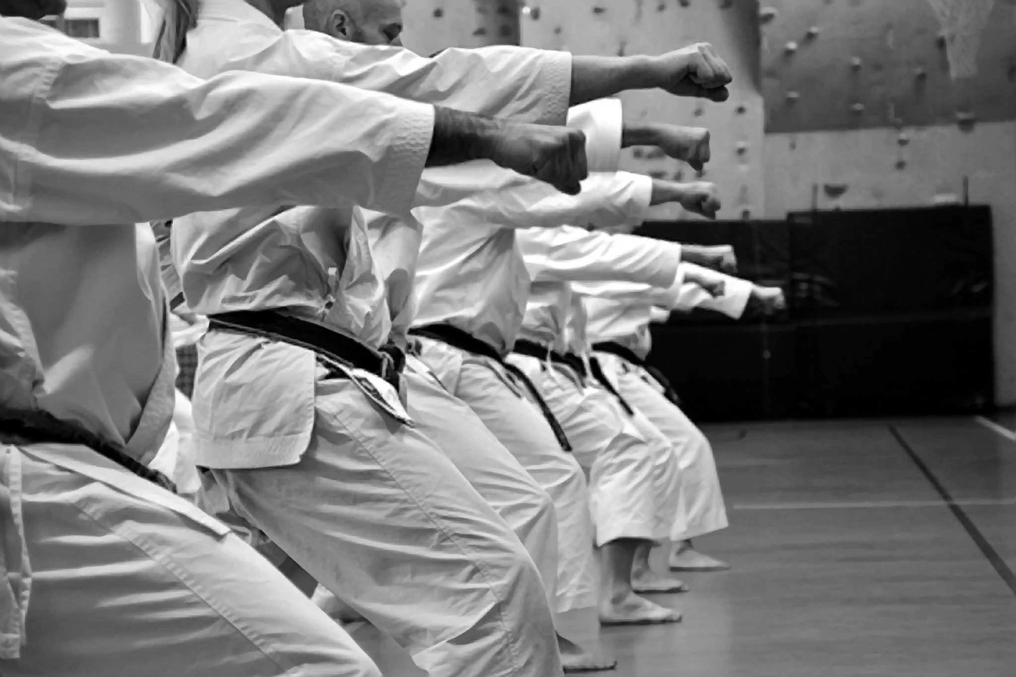 karate-bw copy copy.jpg