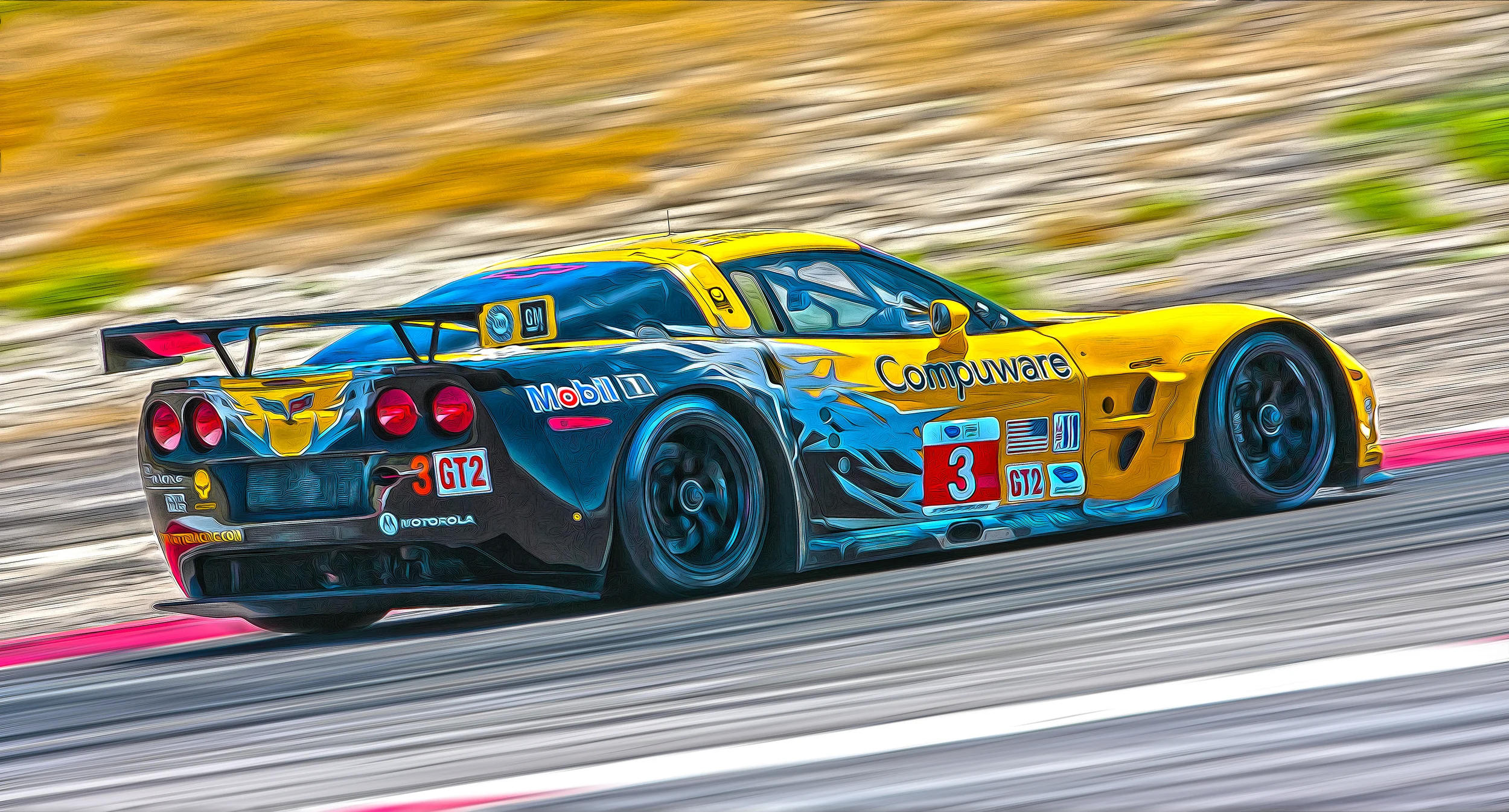 ALMS Corvette 2010