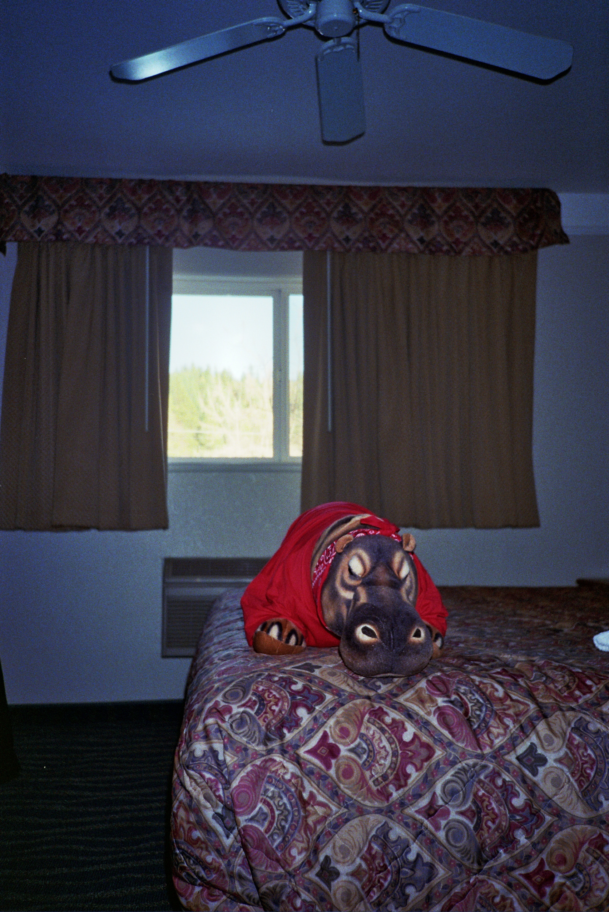 _14_0222.jpg