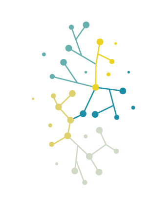 RC_reef_Transparent copy.png