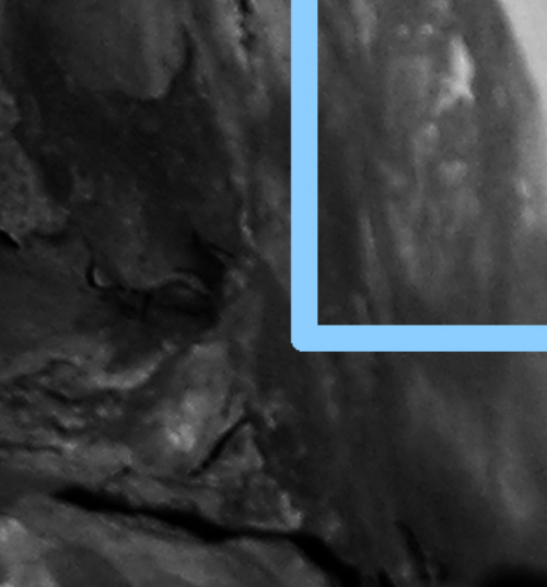 Disregard the bird looking shape. There are other human type shapes similar to other wall markings from the same area.