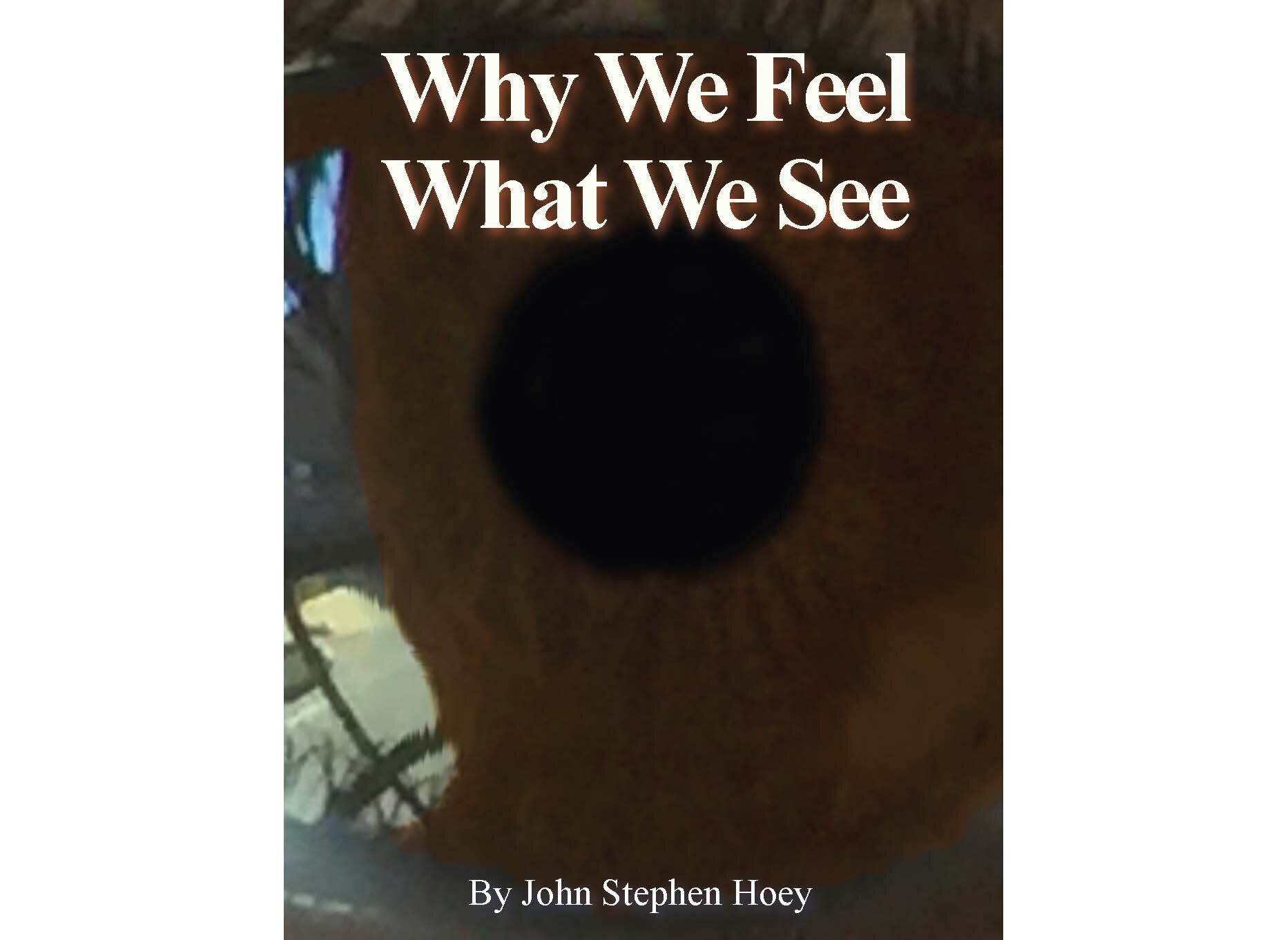 Why We Feel What We See (v3)_Page_01.jpg