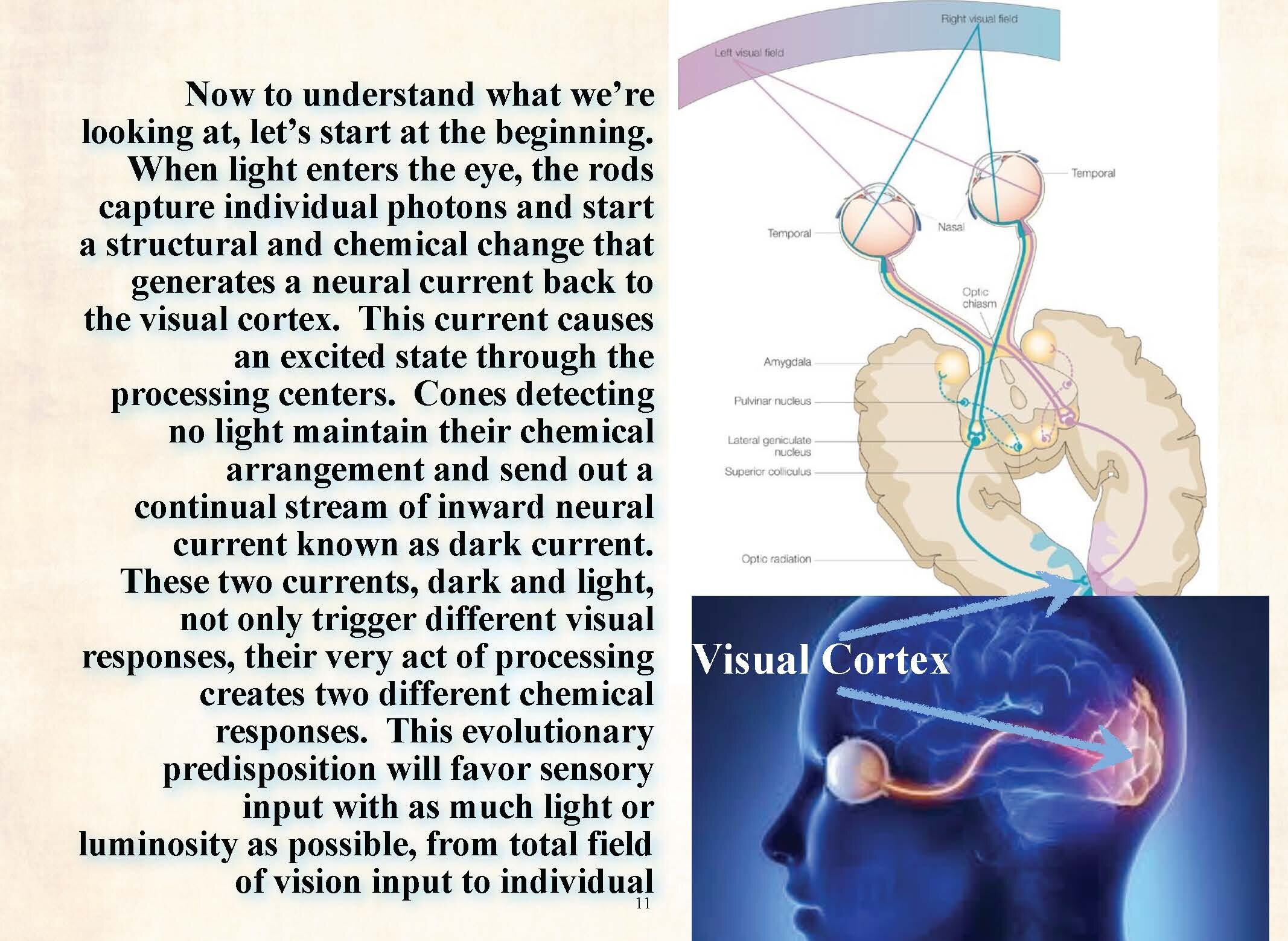 Why We Feel What We See (v3)_Page_12.jpg