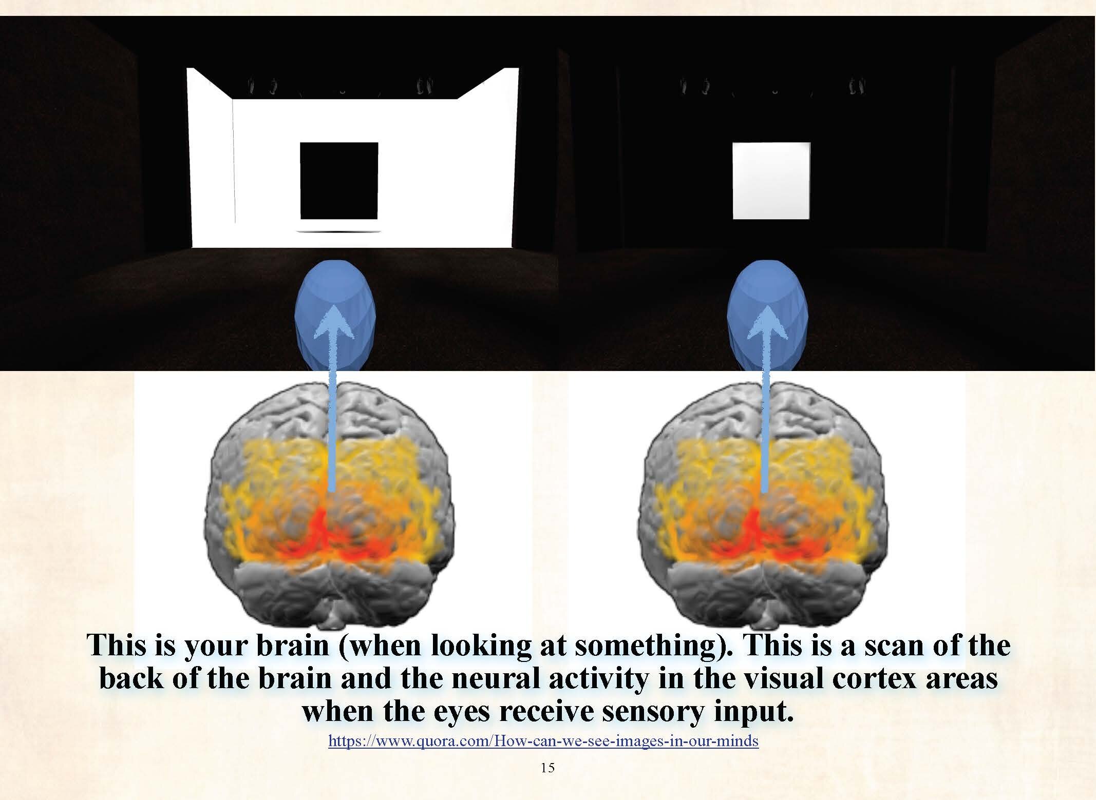 Why We Feel What We See (v3)_Page_16.jpg