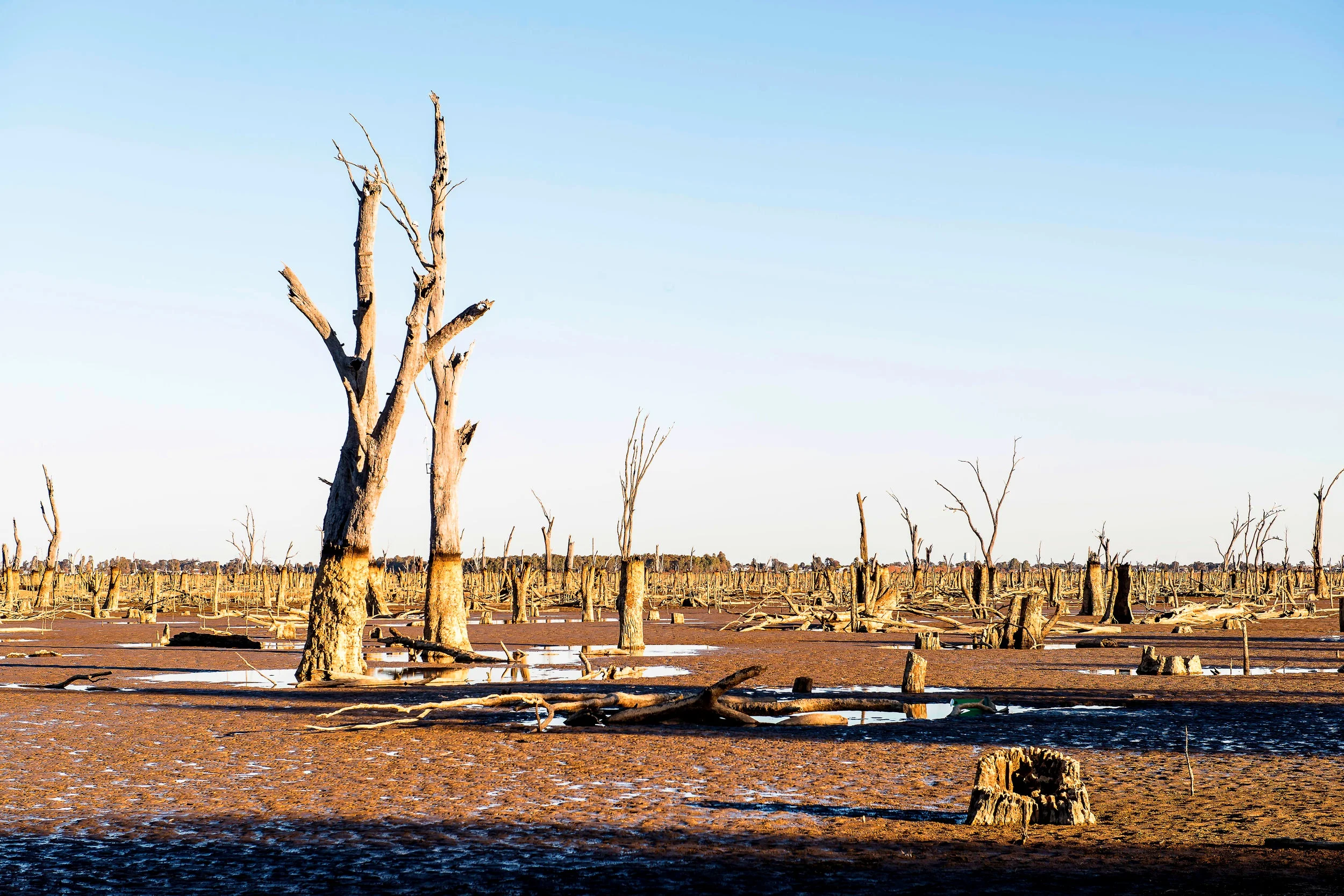 W109: Lake Mulwala Dry Australia
