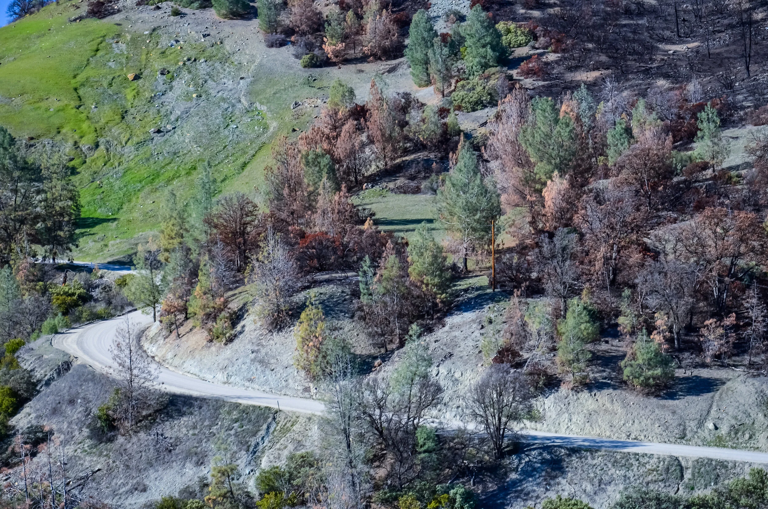 R106: Roadway to Russian River, California, USA