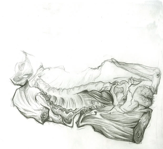 Torso