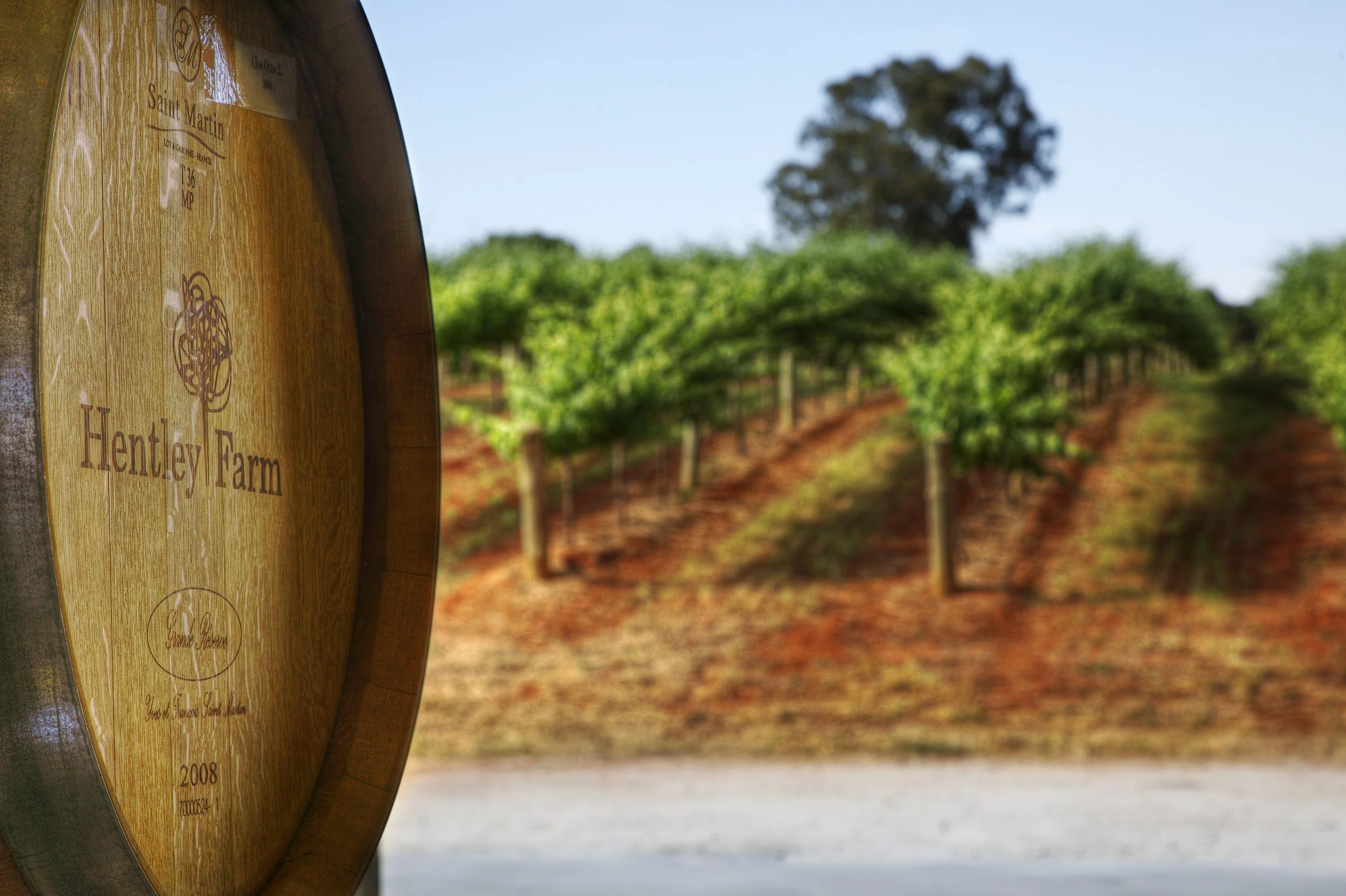 012 - Wine Barrel with Vines web.jpg