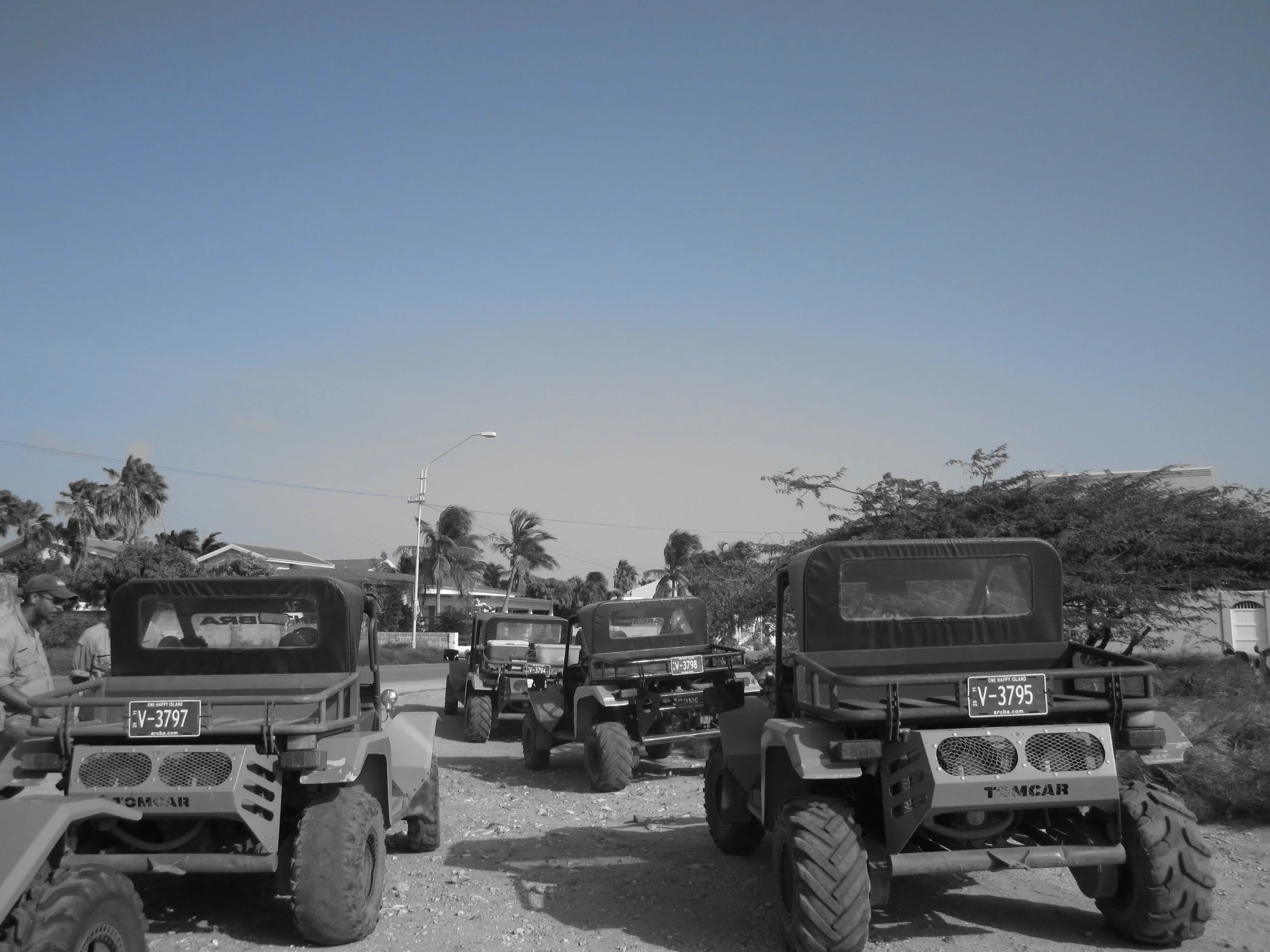 MONSTER  RIDES - ARUBA