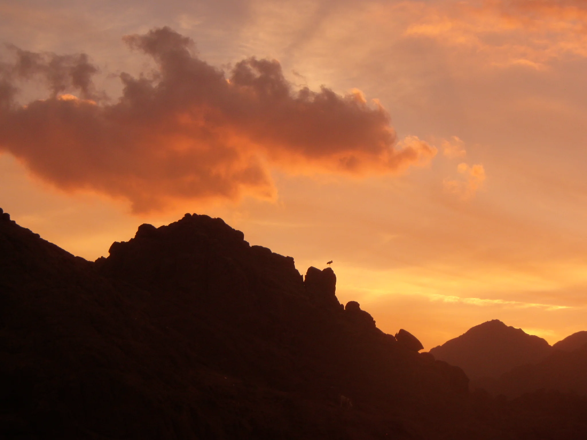 Sunset in the desert