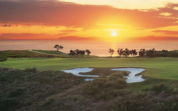 Client Appreciation Events