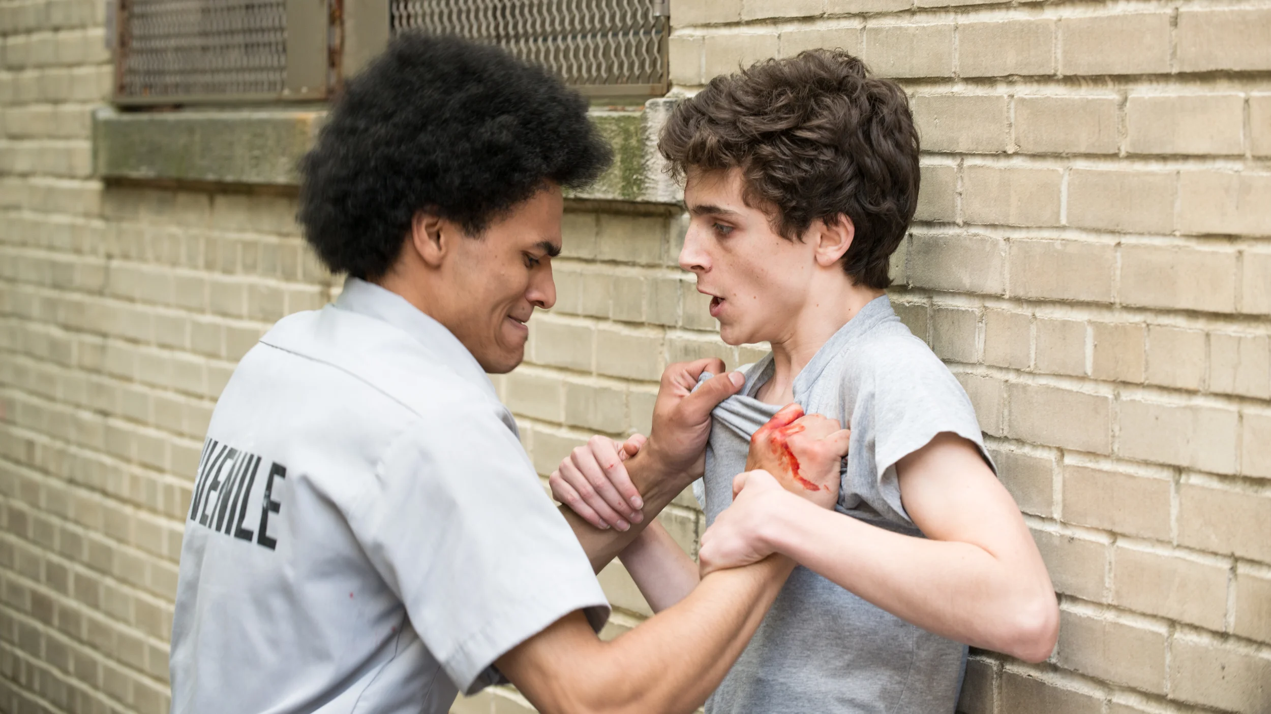  TIMOTHEE CHALAMET IN THE ADDERALL DIARIES 