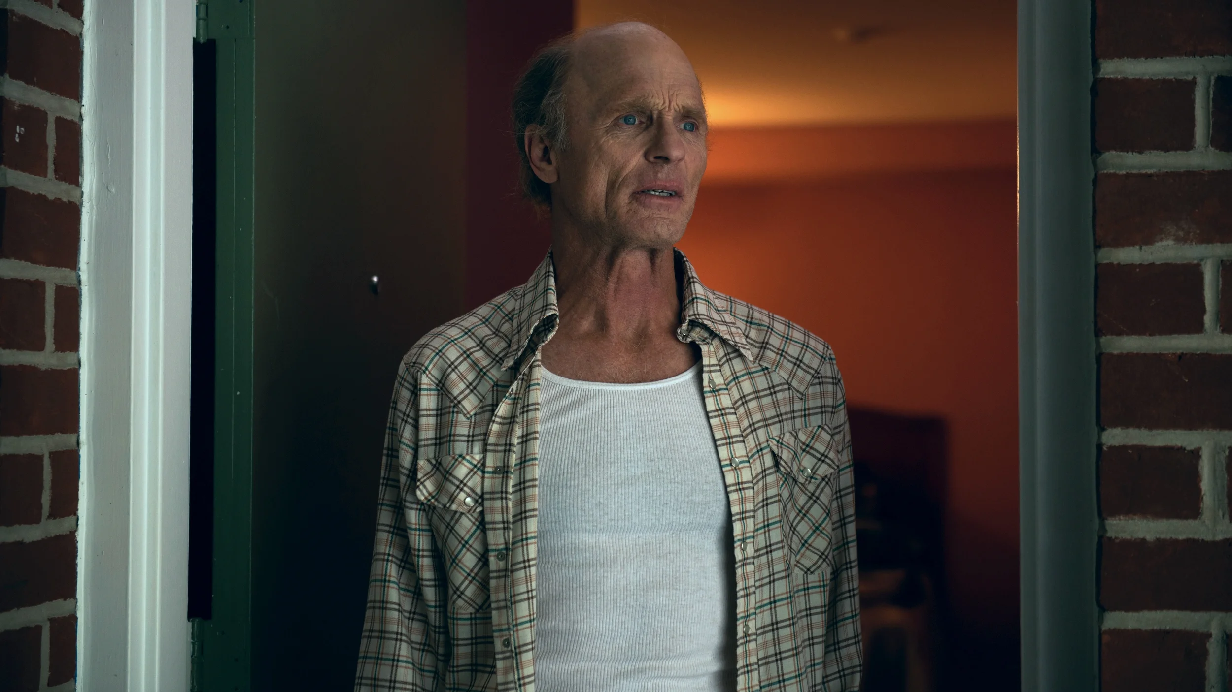  ED HARRIS IN THE ADDERALL DIARIES 