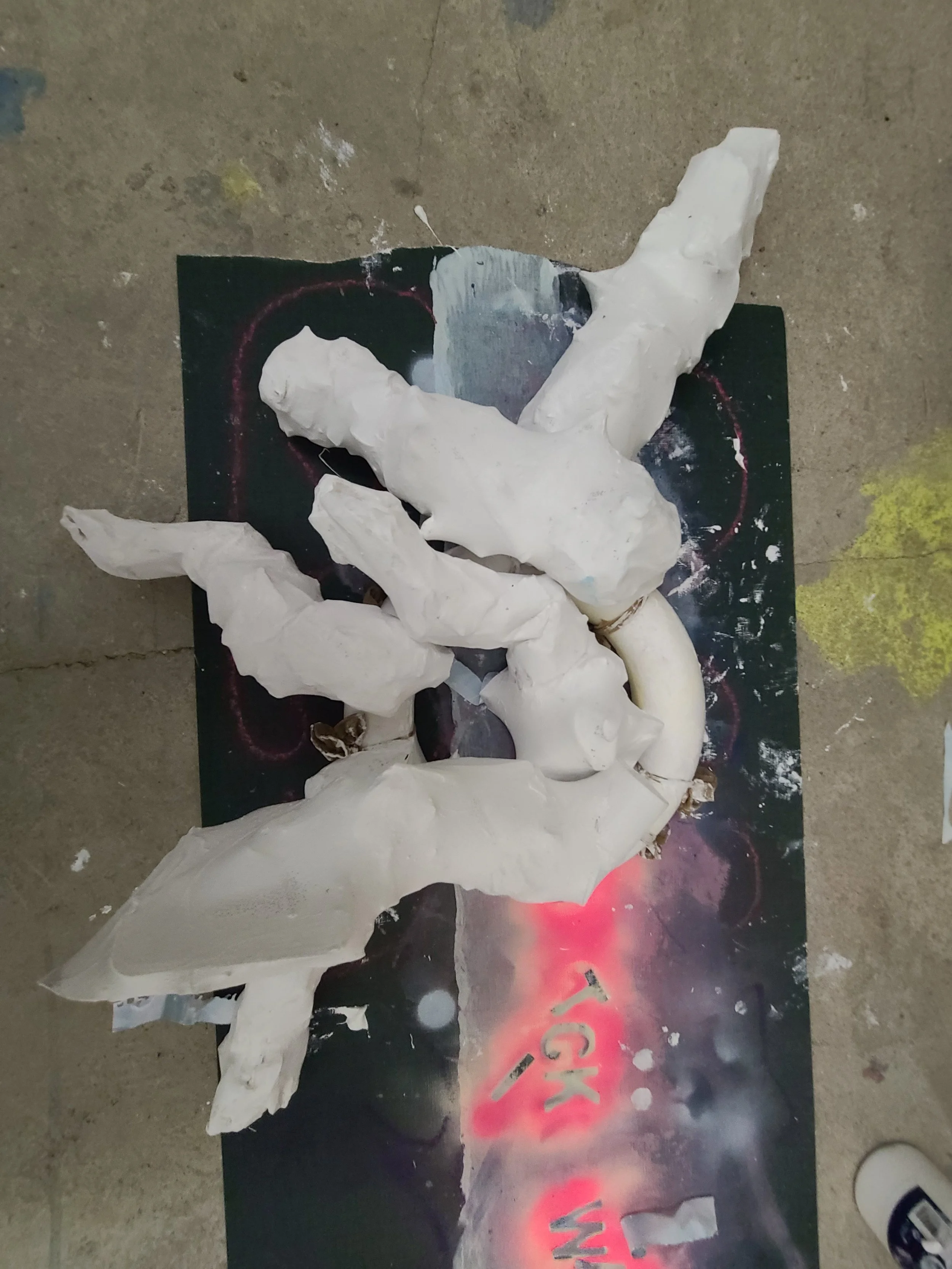 20220309_230442.jpg