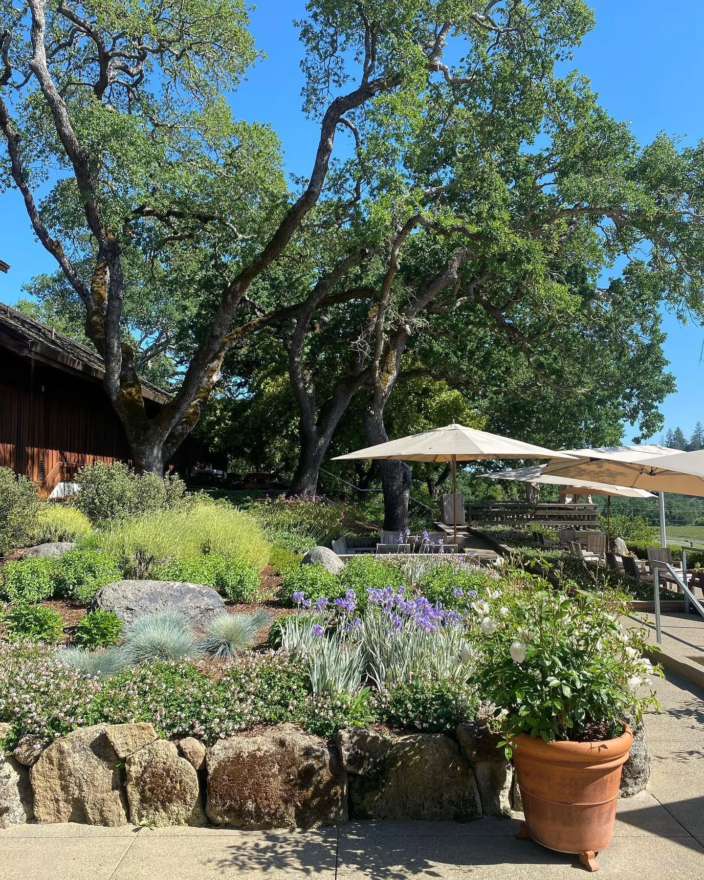 Cheers to 15 @gblalock4 🥂!! So grateful to do life with you!