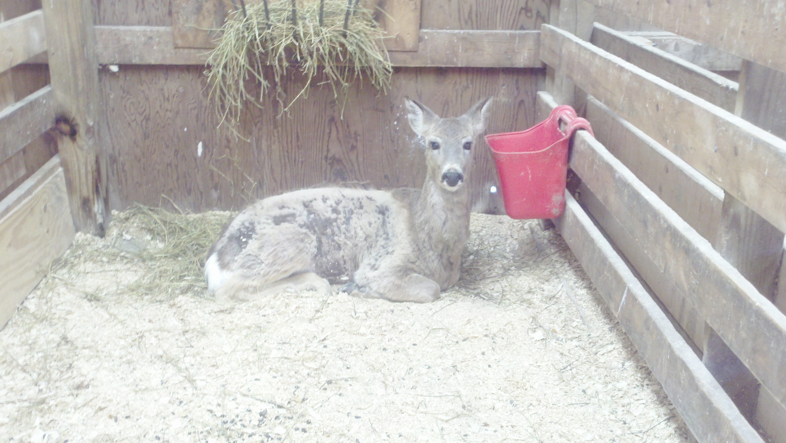 2011-04-09_14-52-21_297.jpg