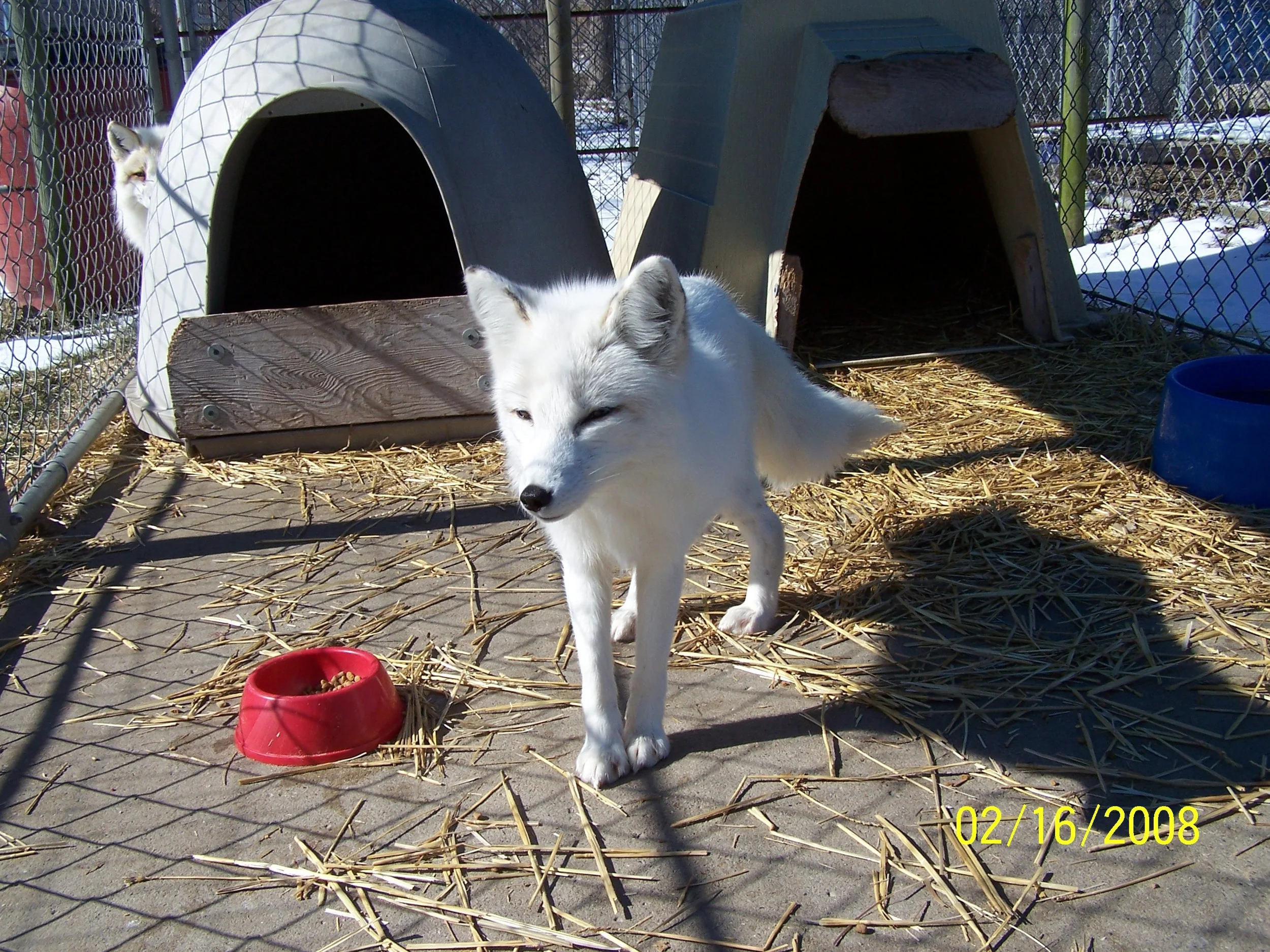 100_2233.JPG
