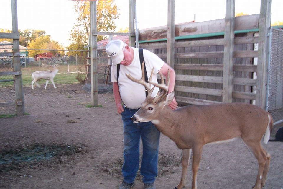 Dwight-deer.jpg