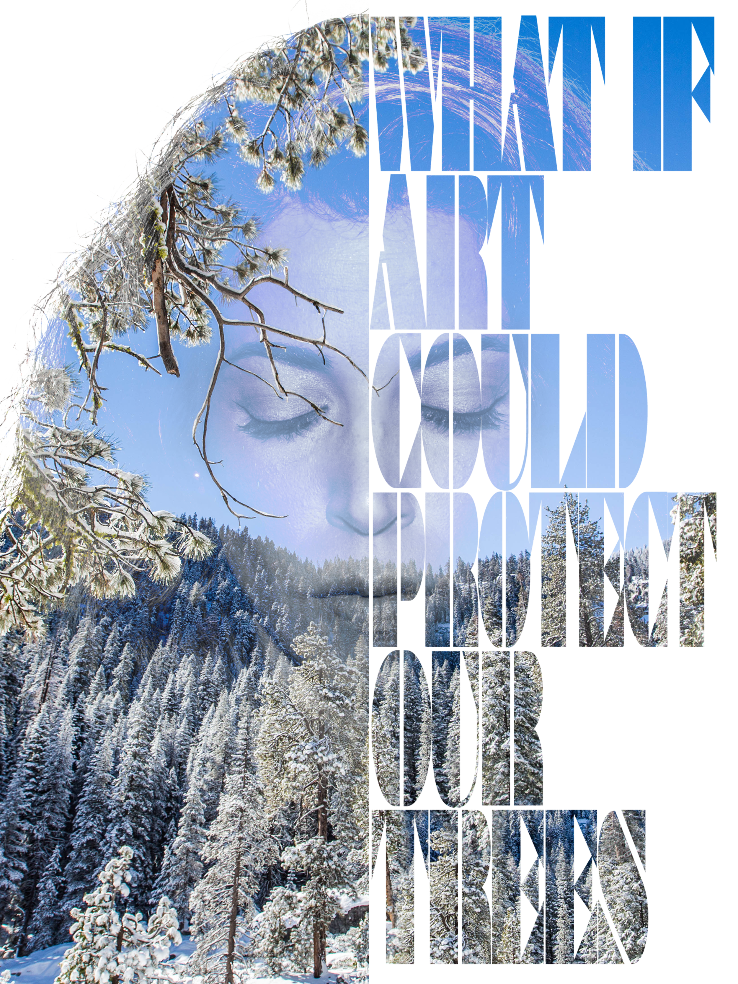 2-16 Forests face art 18x24.png