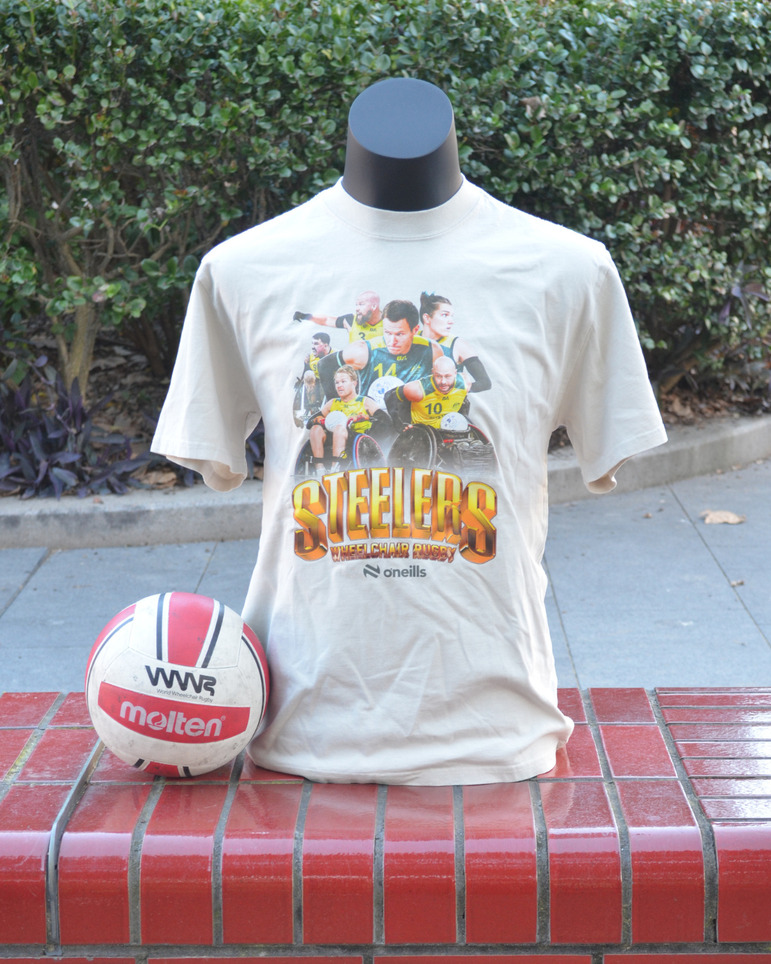2025 Steelers Vintage Graphic Tee.png