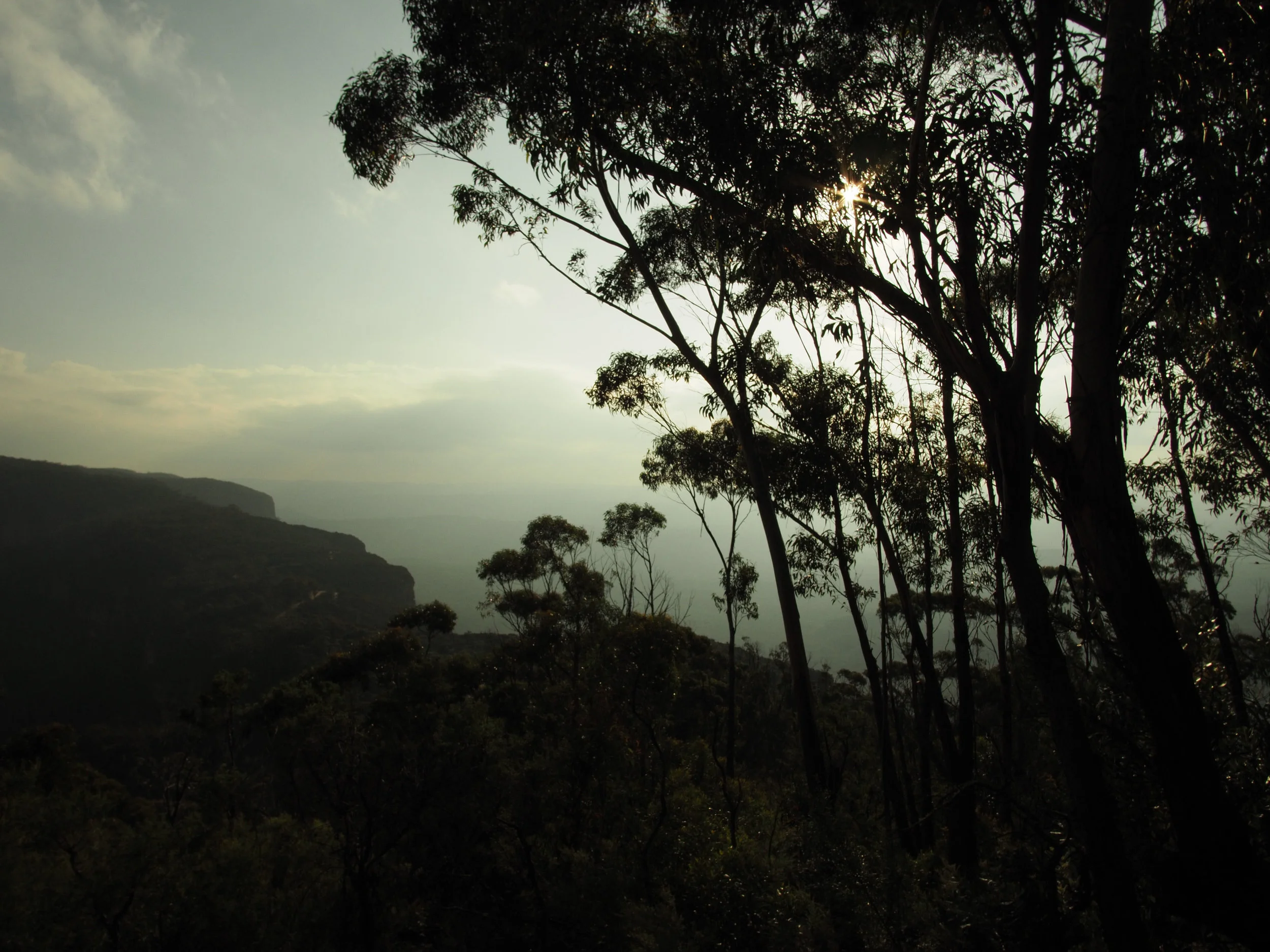 Blue Mountains Ana Petre - Terrene75.jpg