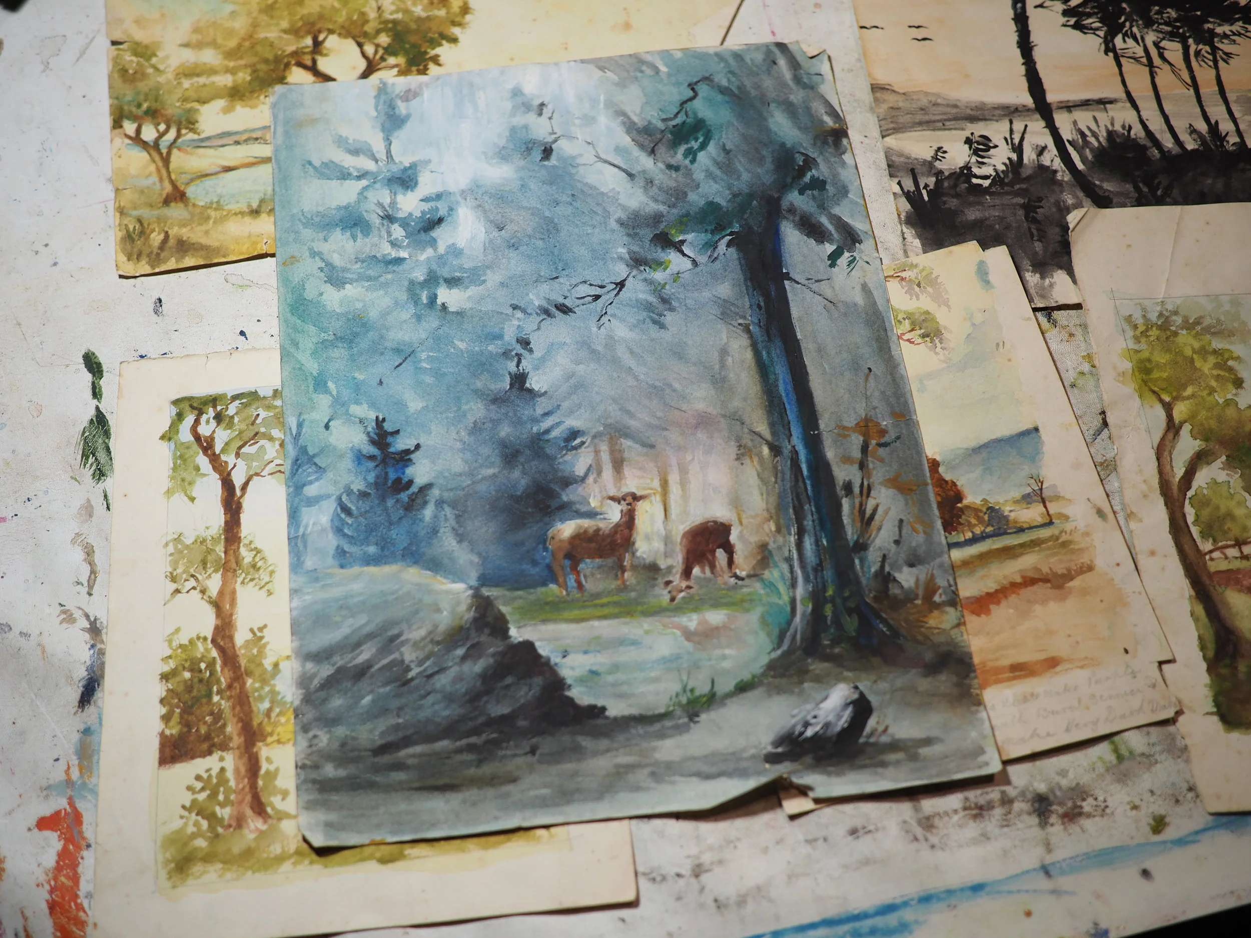 Brisbane Creative Scene Art Culture Terrene Ana Petre-5180143.jpg
