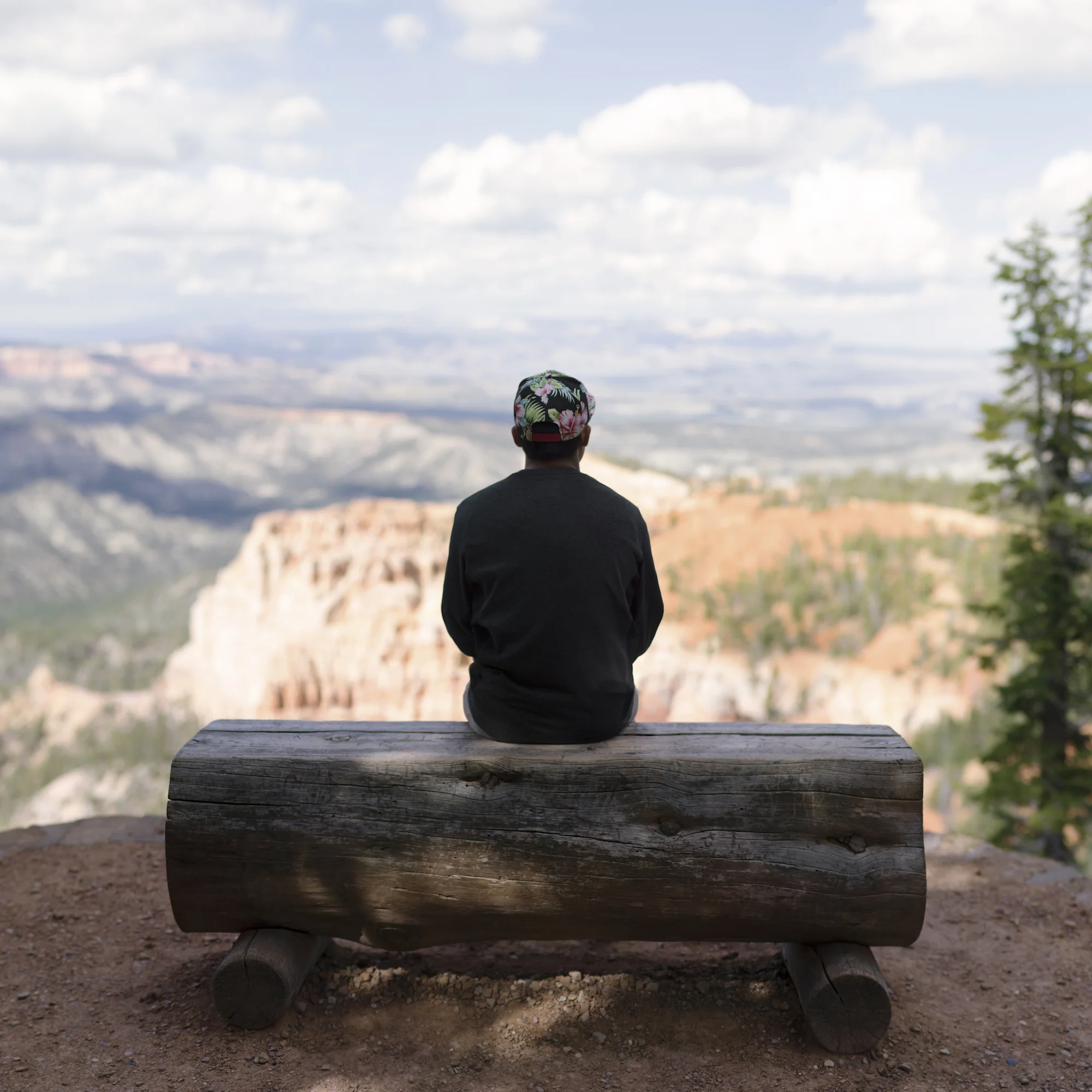 DJ_Pano_09_E_Crp2_Web.jpeg