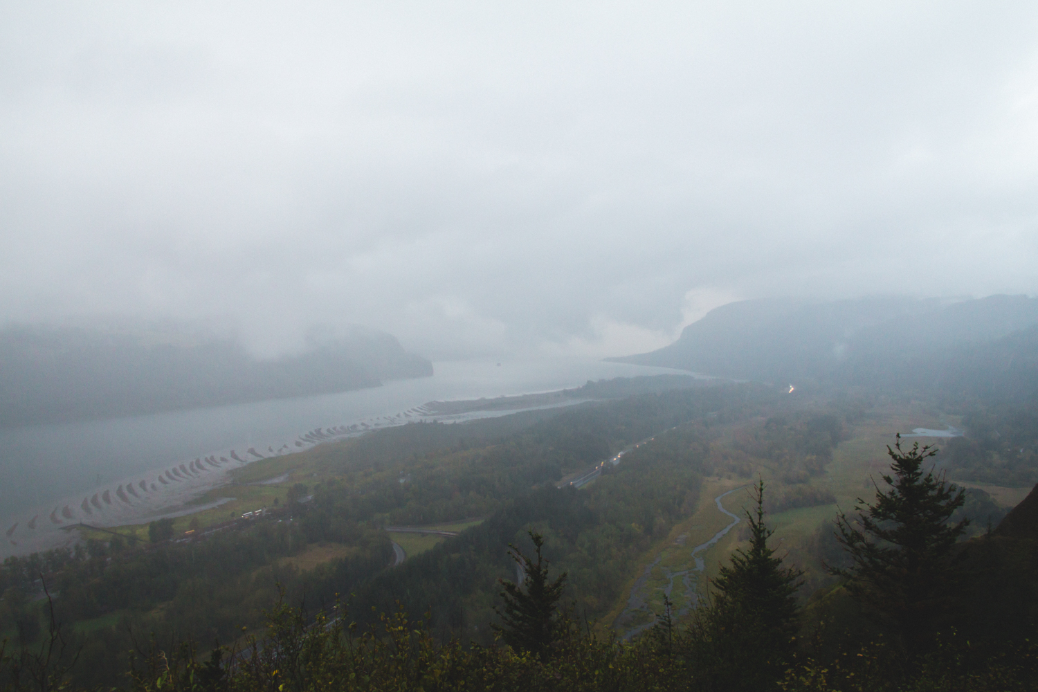 IMG_9134_LR_Web1000.jpg