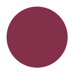 ANARCHY-809 Mid Tone Berry Pinkish Mauve Matching pencil Caberet