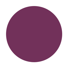 Black Plum
