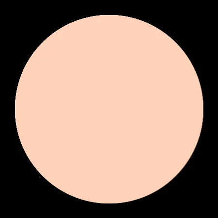N4 Cool Neutral