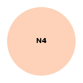 N4.png