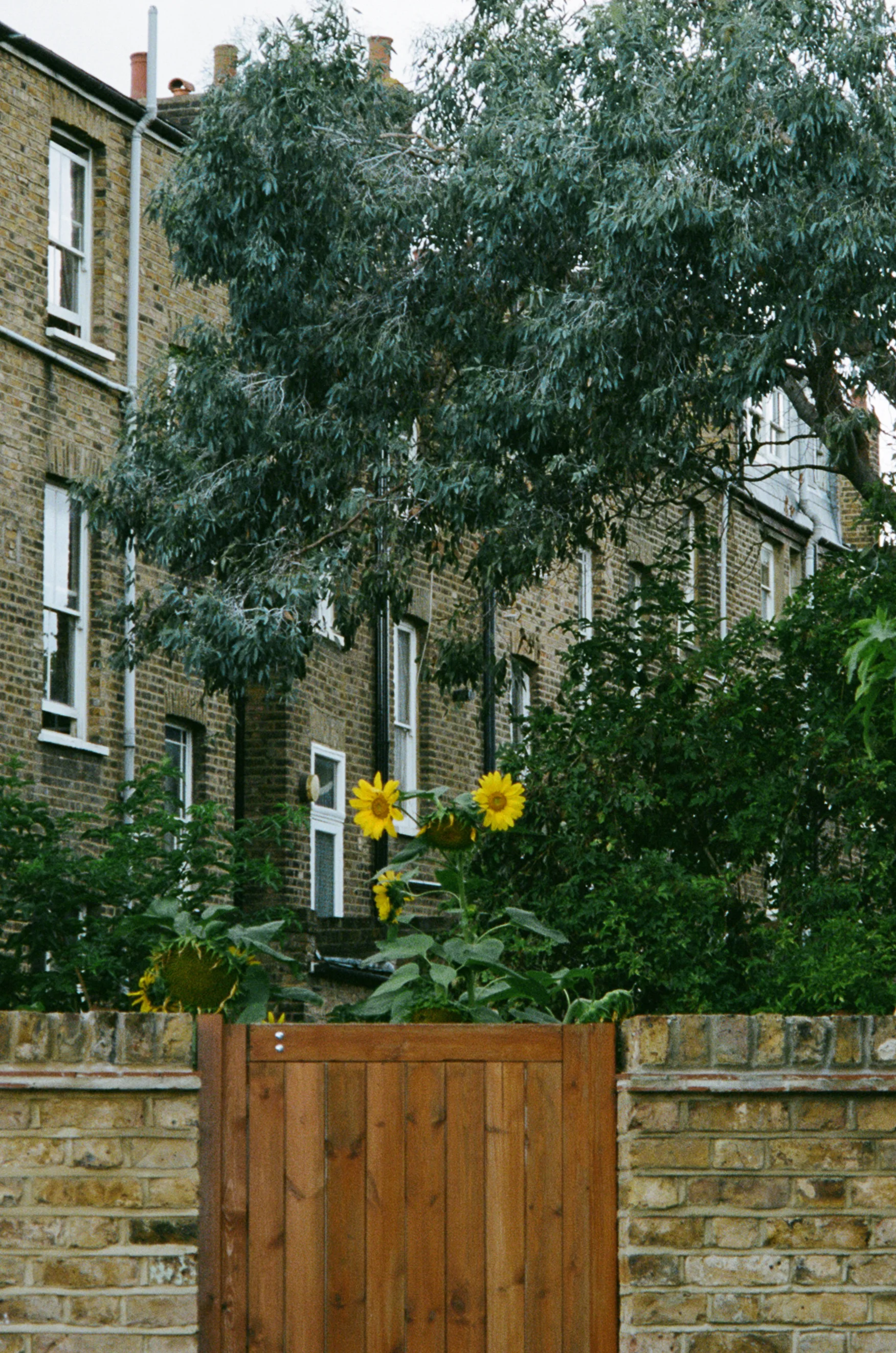 Walking around London Fields, London, 2019