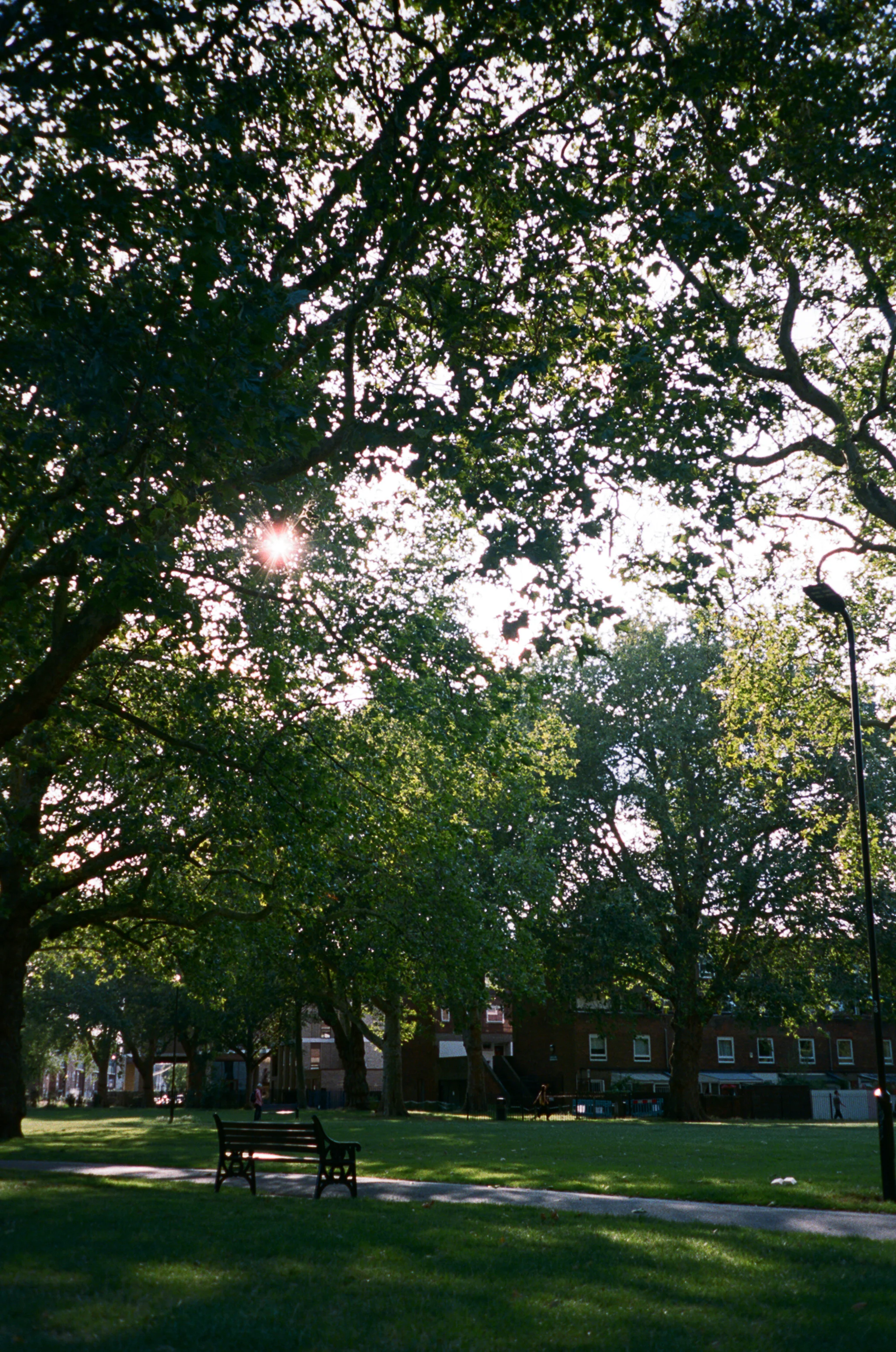 London Fields, London, 2019
