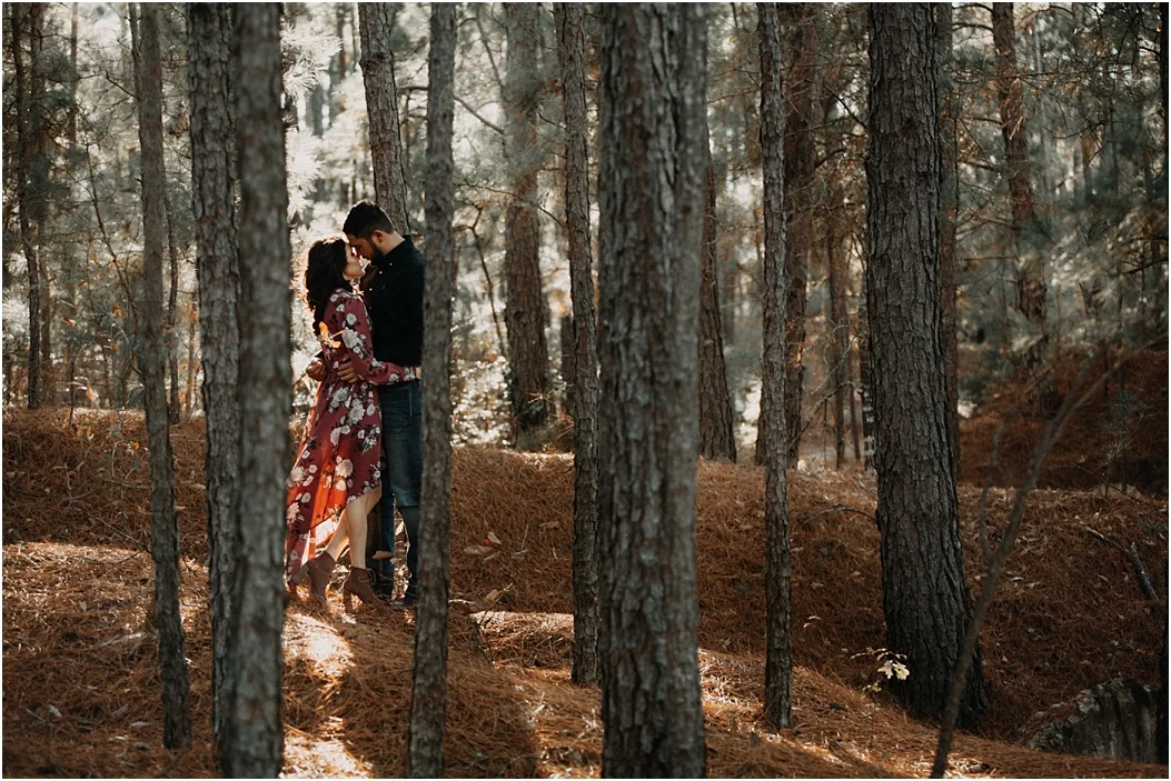 Liliana + Juan Engagement
