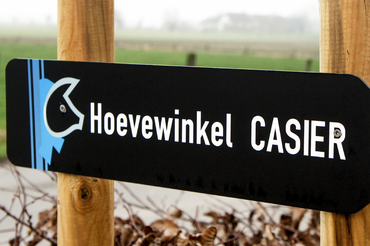 achttien_CASIER-9.png
