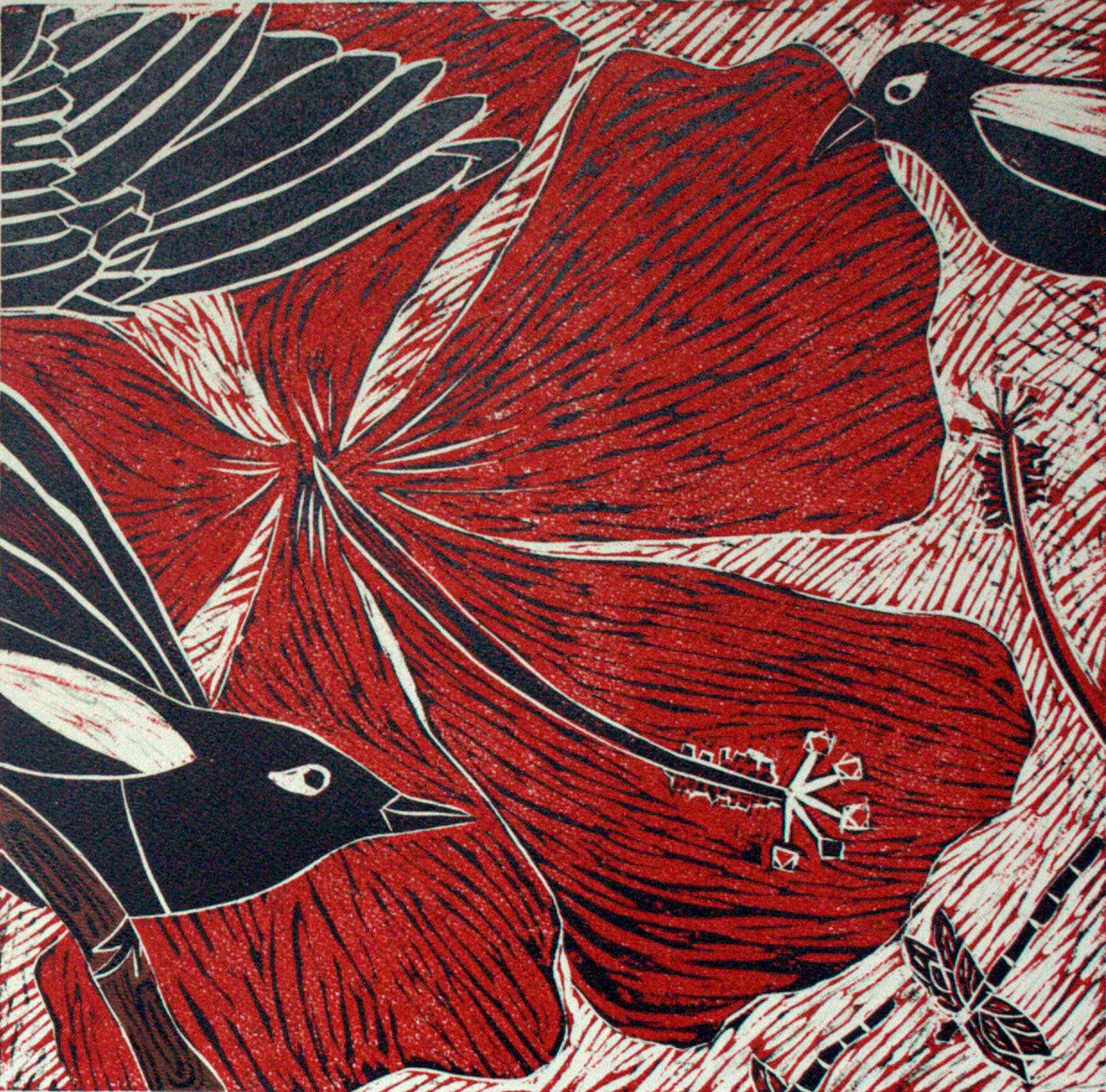 Magpies of Kalighat