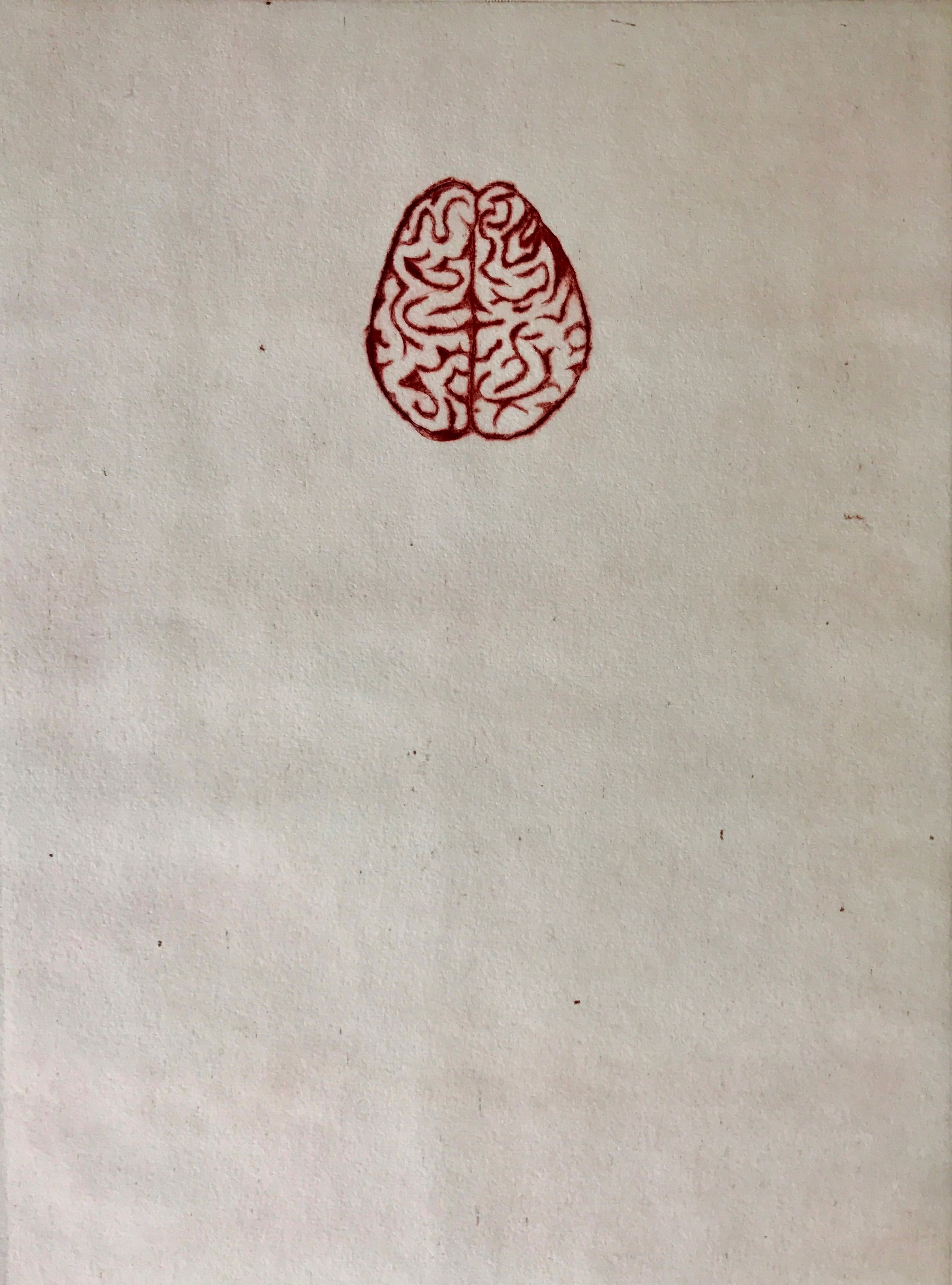 A fuzzy brain needs more space and time