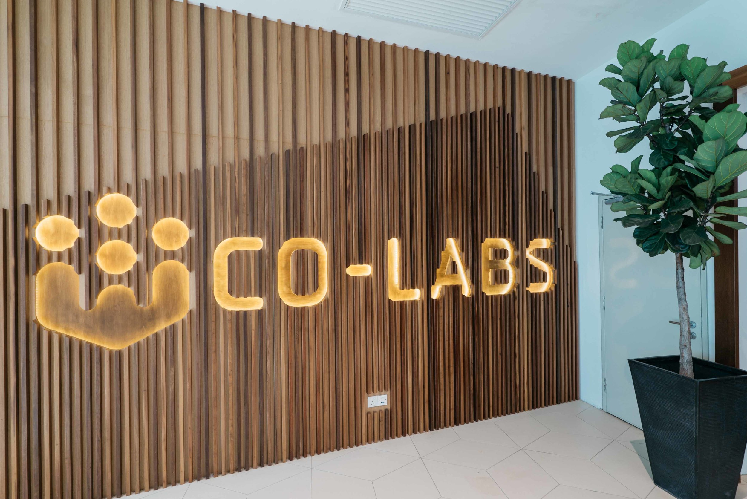 co-labs-48.jpg