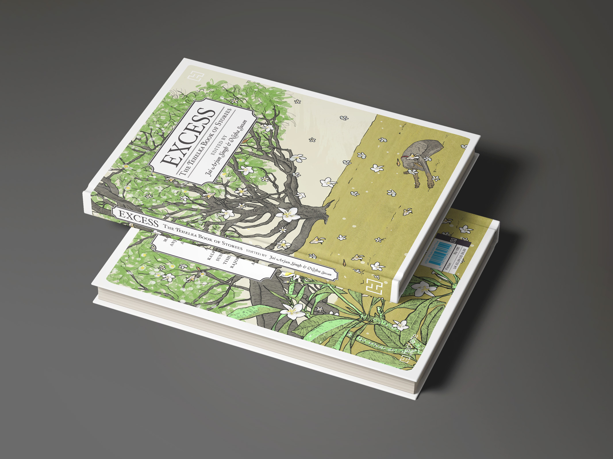 Excess: The Tehelka Book of Stories