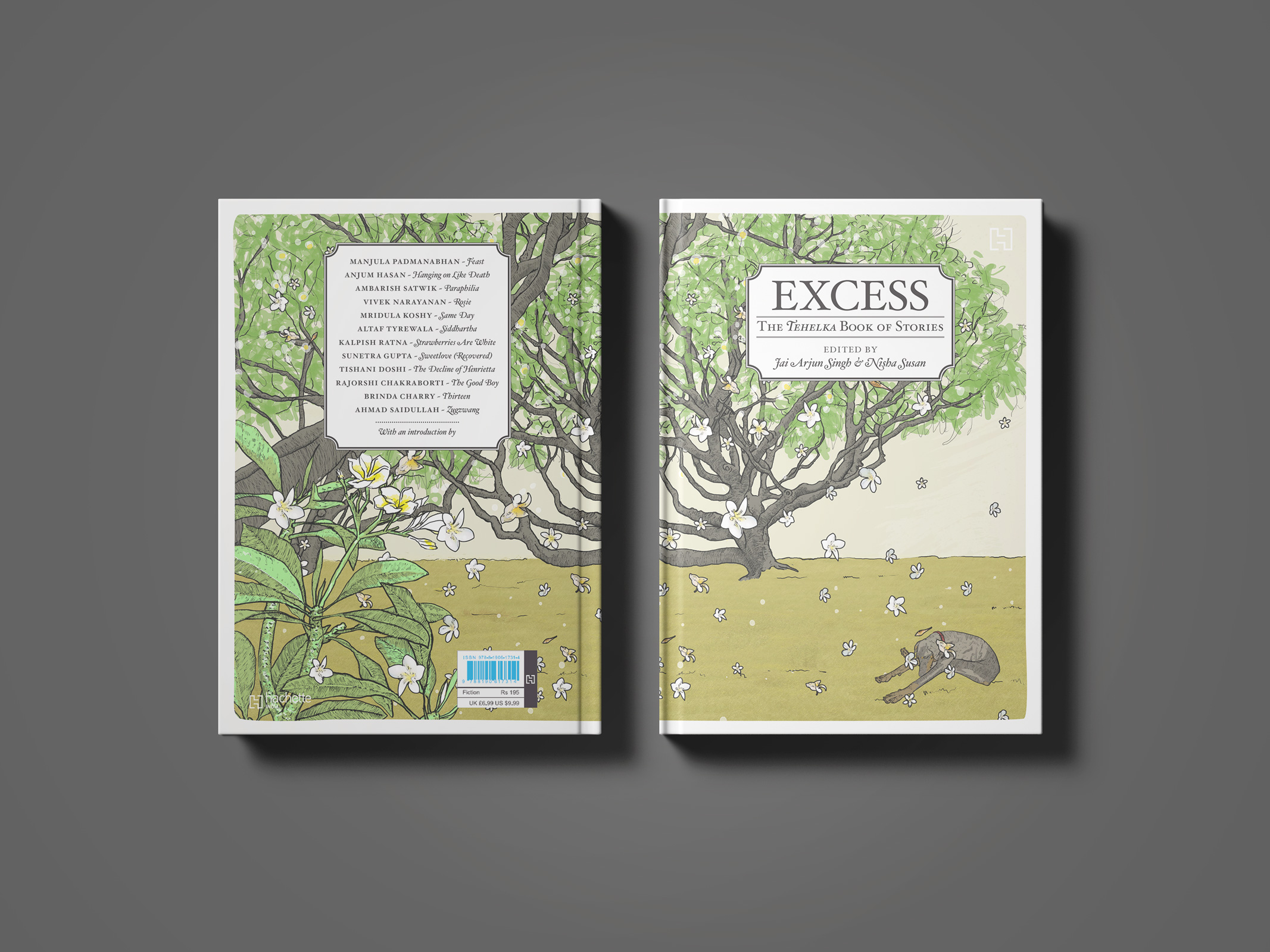 Excess: The Tehelka Book of Stories