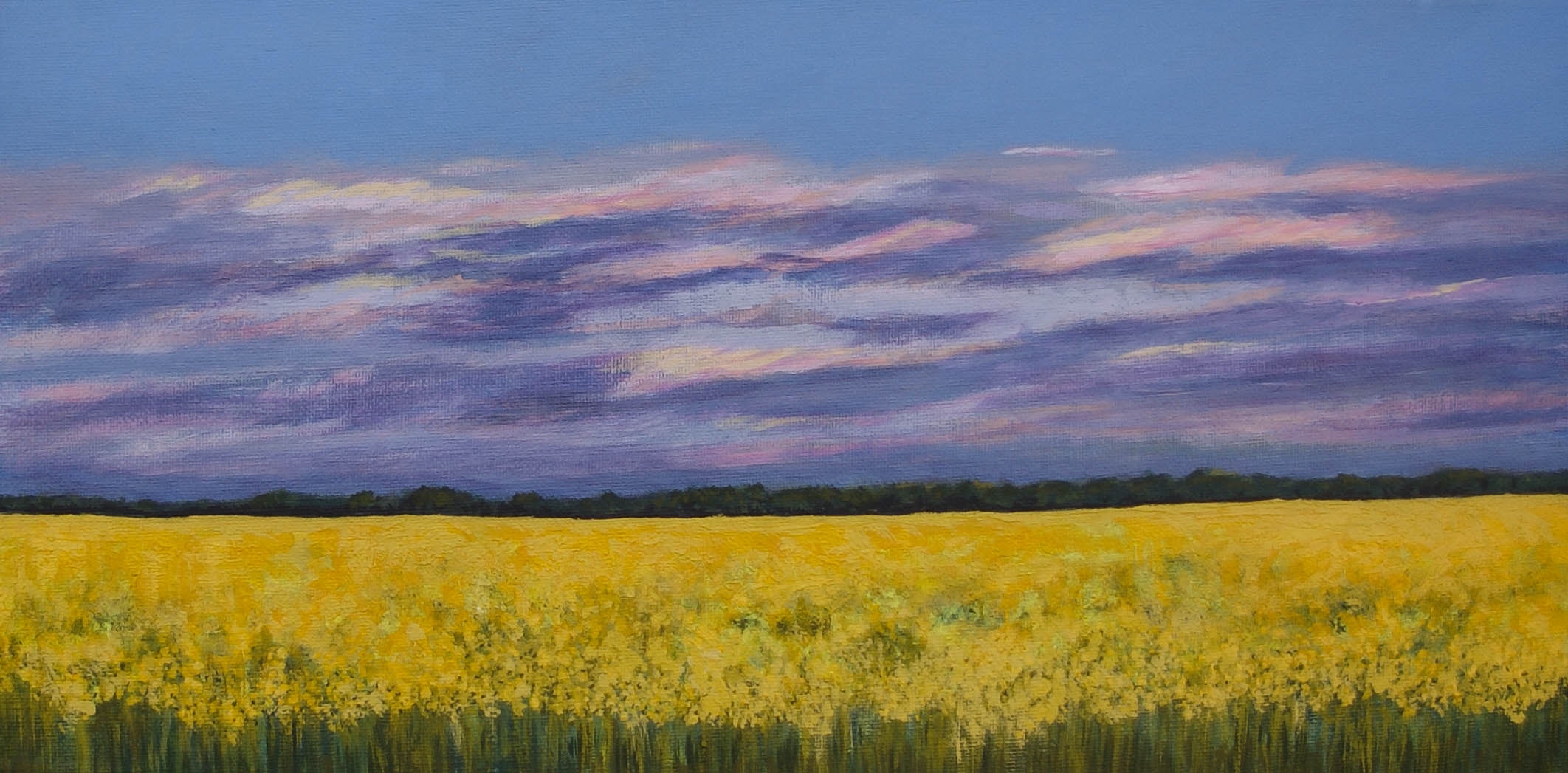 Canola Field at Dusk, Keith South Australia, Acrylic on canvas