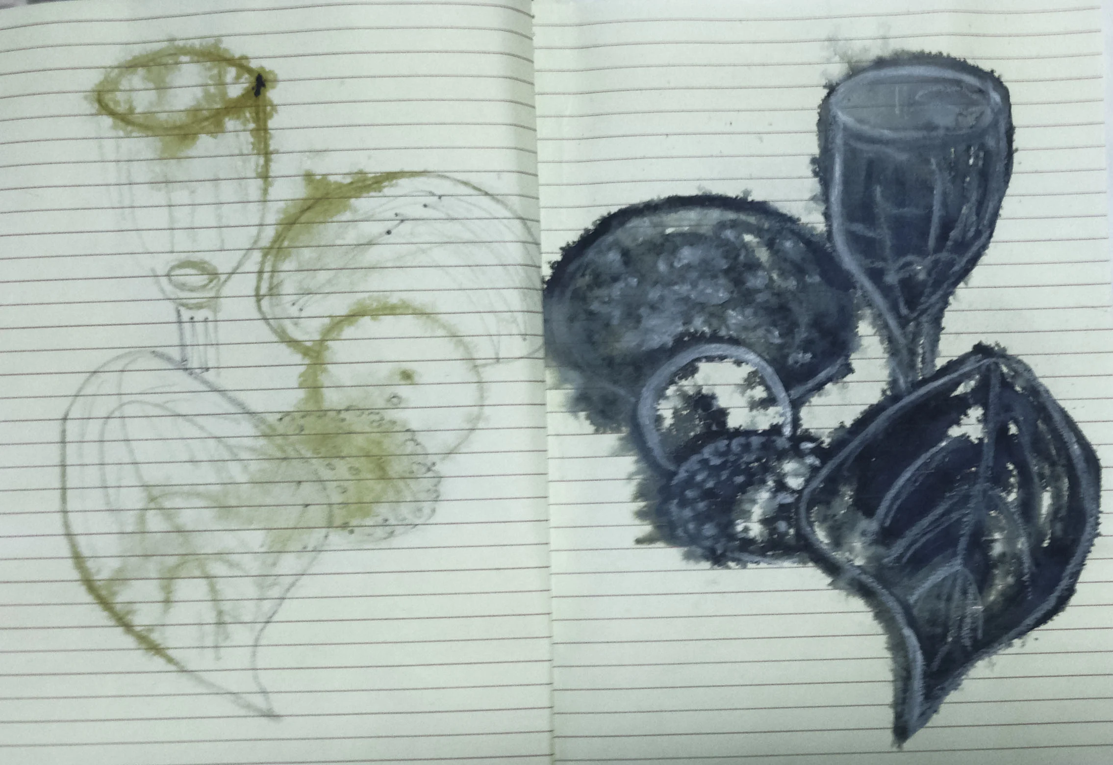 I then tried the still life using a brush a lot of water and once it had dried I have then drawn over this using a brush and gesso. I like the chalkiness it adds. Gesso is a great medium to draw with and I use a lot of it in all my sketchbooks. 