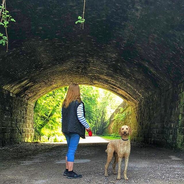 Under the railway bridge on my morning walk. Missing my campers 🏕  but luckily I have a stinky, muddy wet dog for company! 🐕🤣